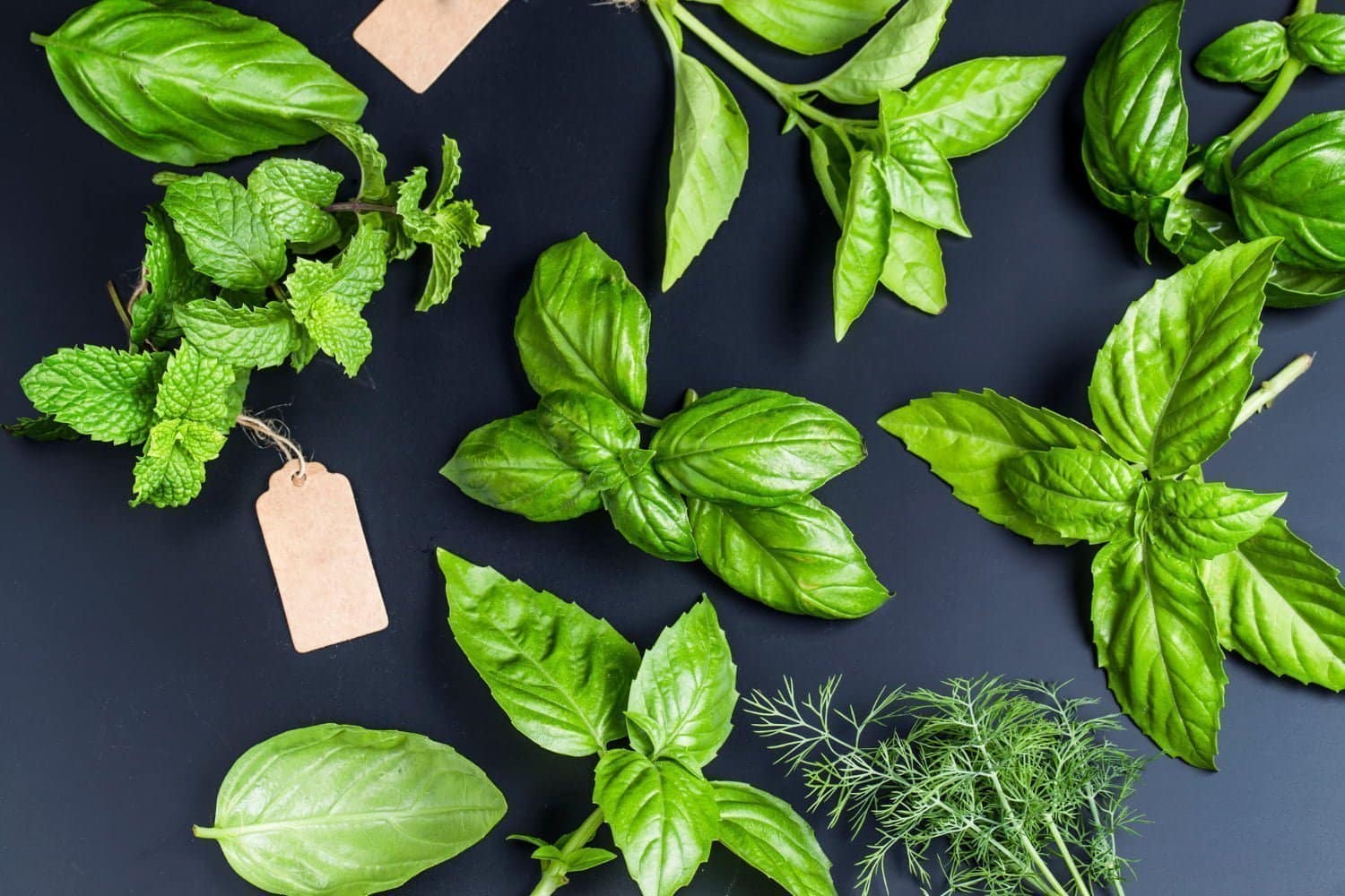 Cuisine et santé : préparez des plats avec ces 7 plantes et épices médicinales