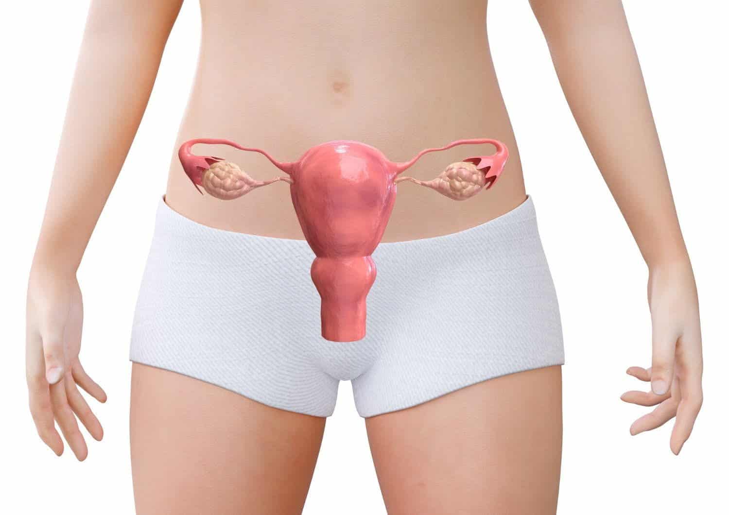 Endométriose, SOPK, troubles gynécologiques:  un risque cardiaque ou cérébral
