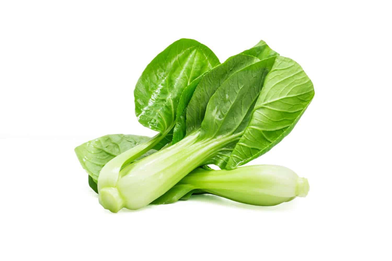 Légumes à feuilles vertes: ces super végétaux à intégrer absolument à son alimentation