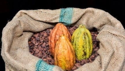 Ces deux aliments favorisent une bonne circulation sanguine malgré la sédentarité