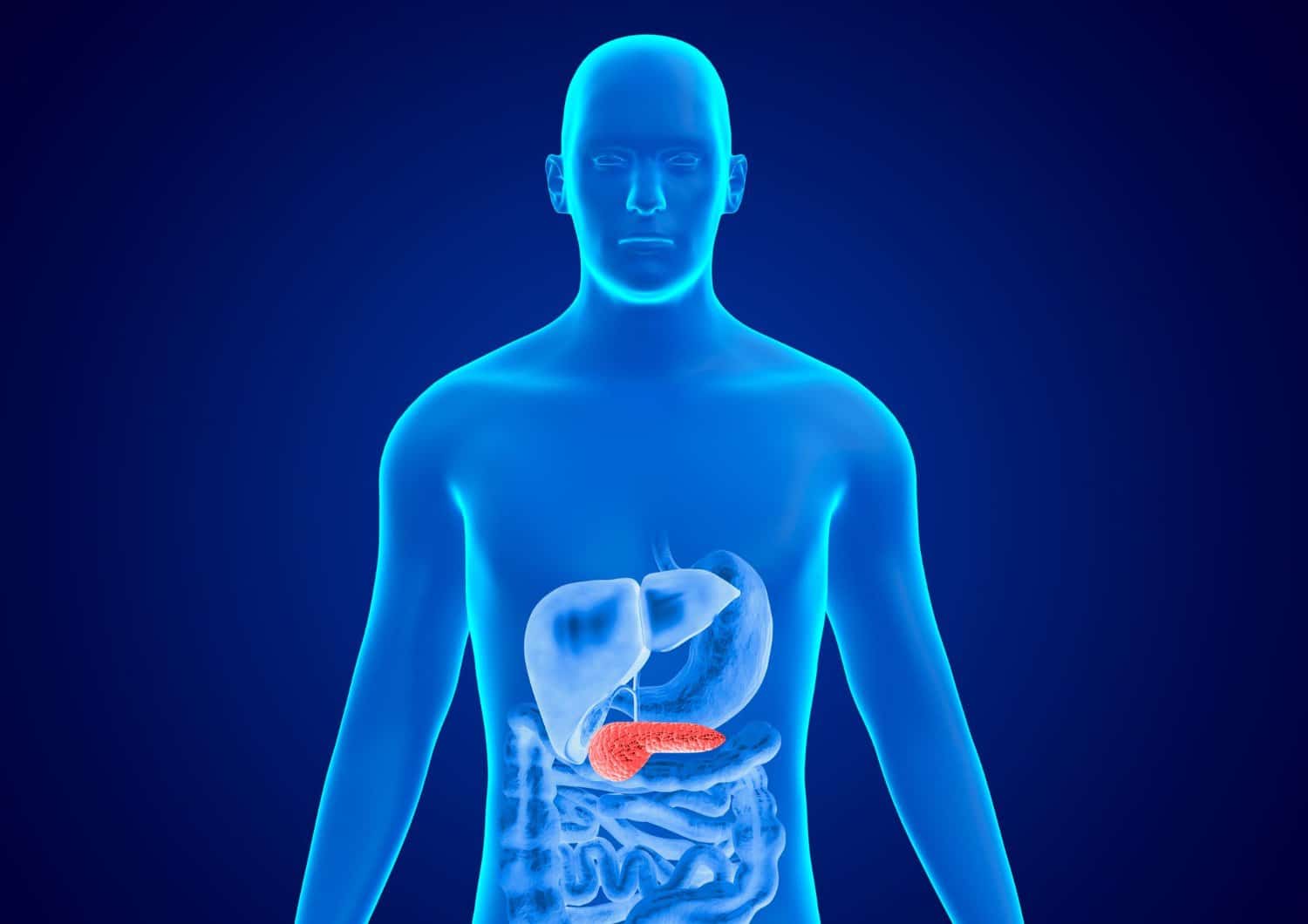 Les premiers symptômes du cancer du pancréas et son évolution en 4 stades