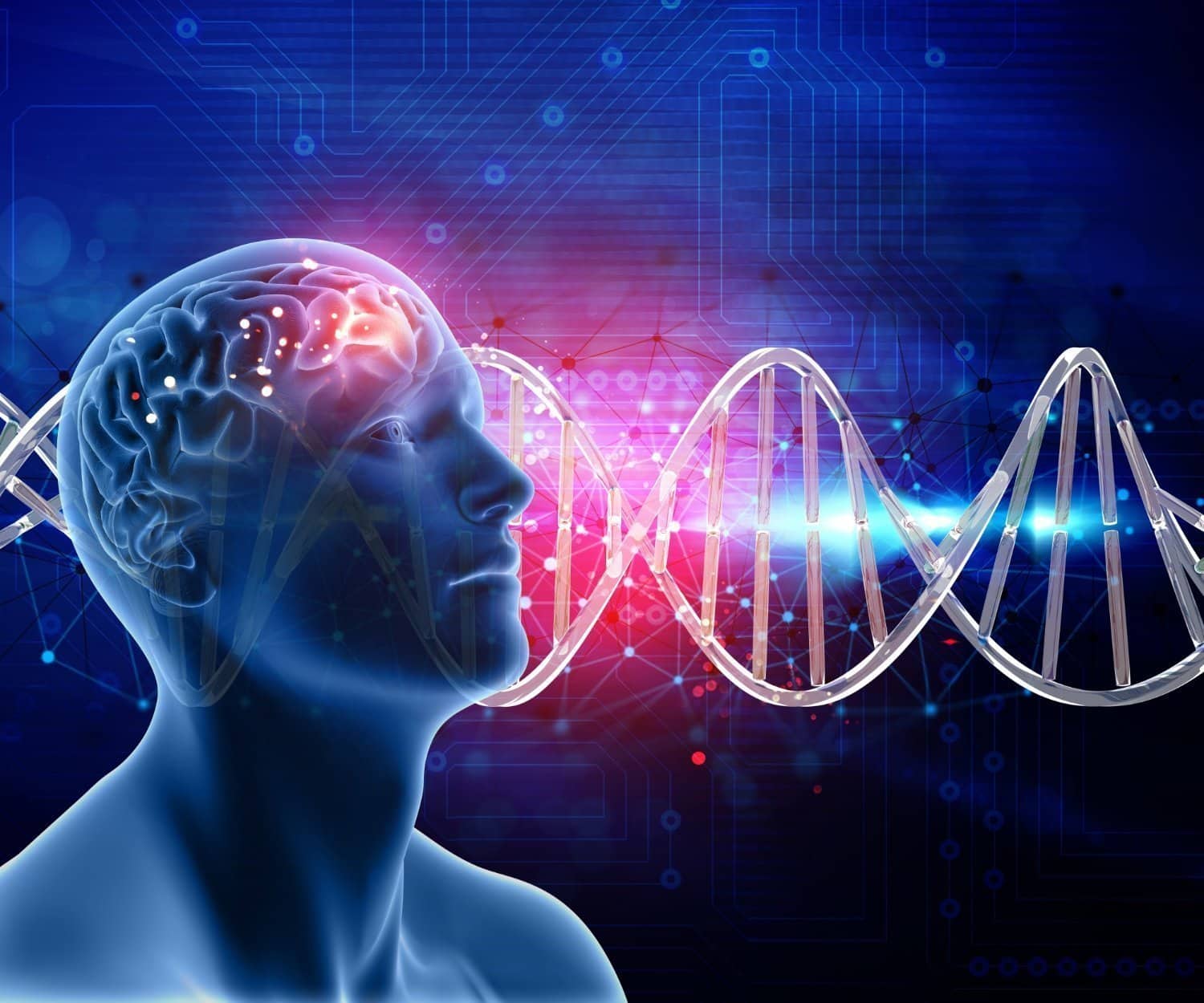 Stimulez votre cerveau avec un mode de vie créatif