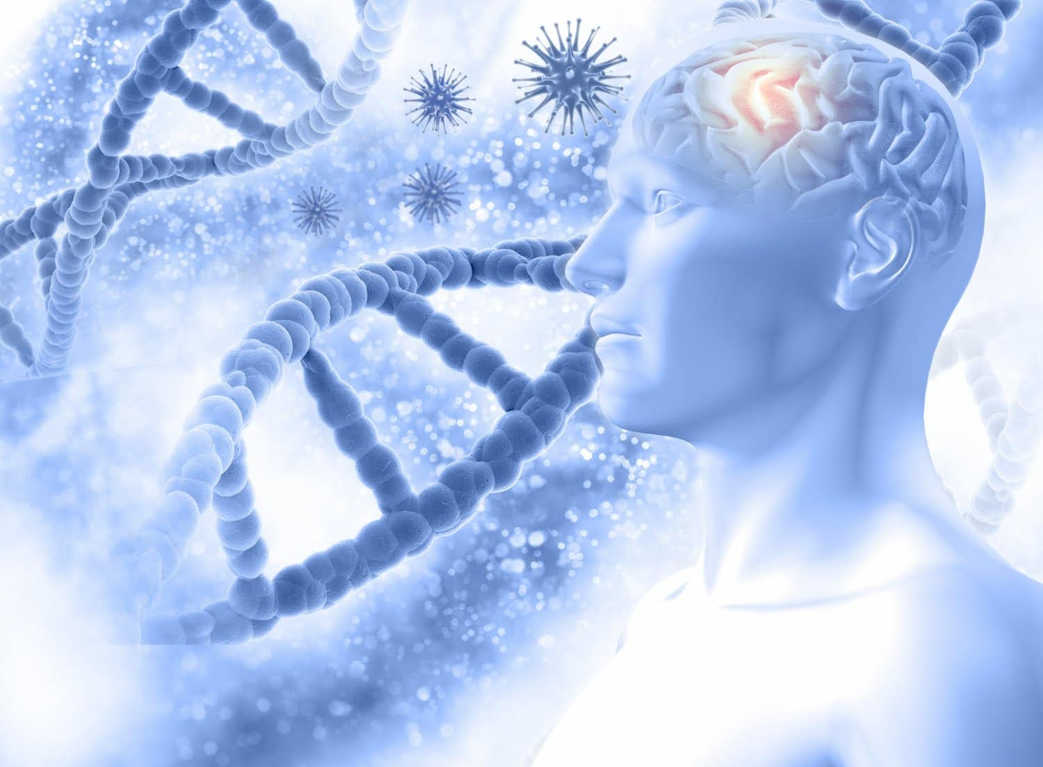 Alzheimer, Parkinson: l’origine est dans la flore intestinale