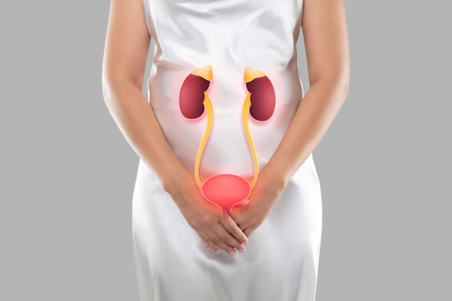 Préserver la santé rénale : 9 conseils importants
