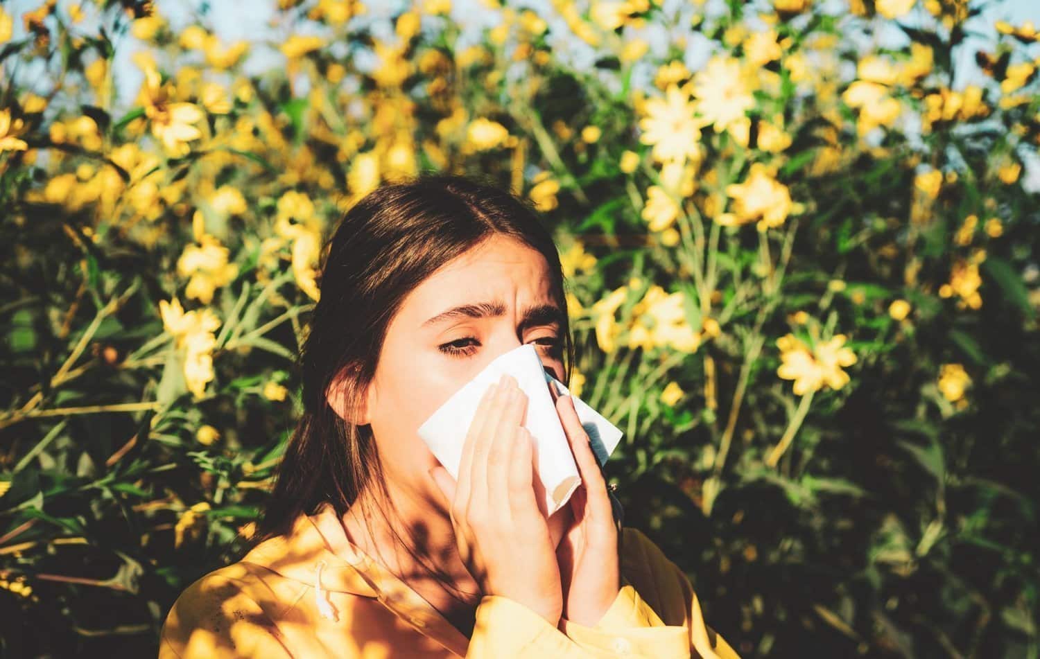 Les allergies saisonnières : 15 symptômes, des plus légers aux plus lourds