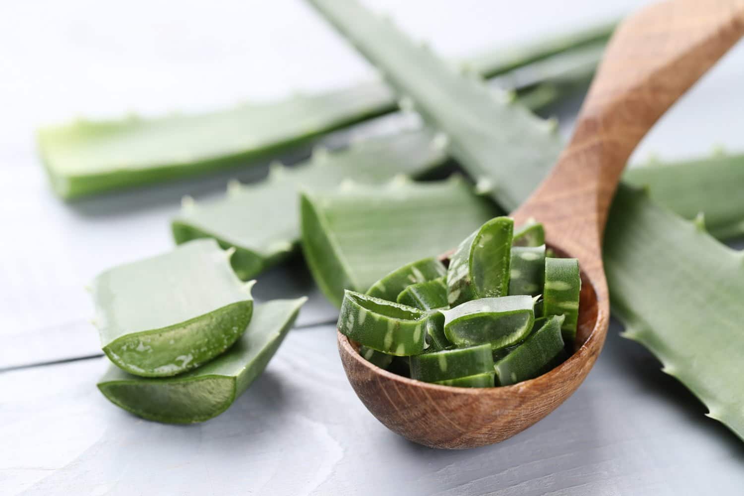 L’huile d’aloe vera : un allié naturel pour la peau, les cheveux et la santé