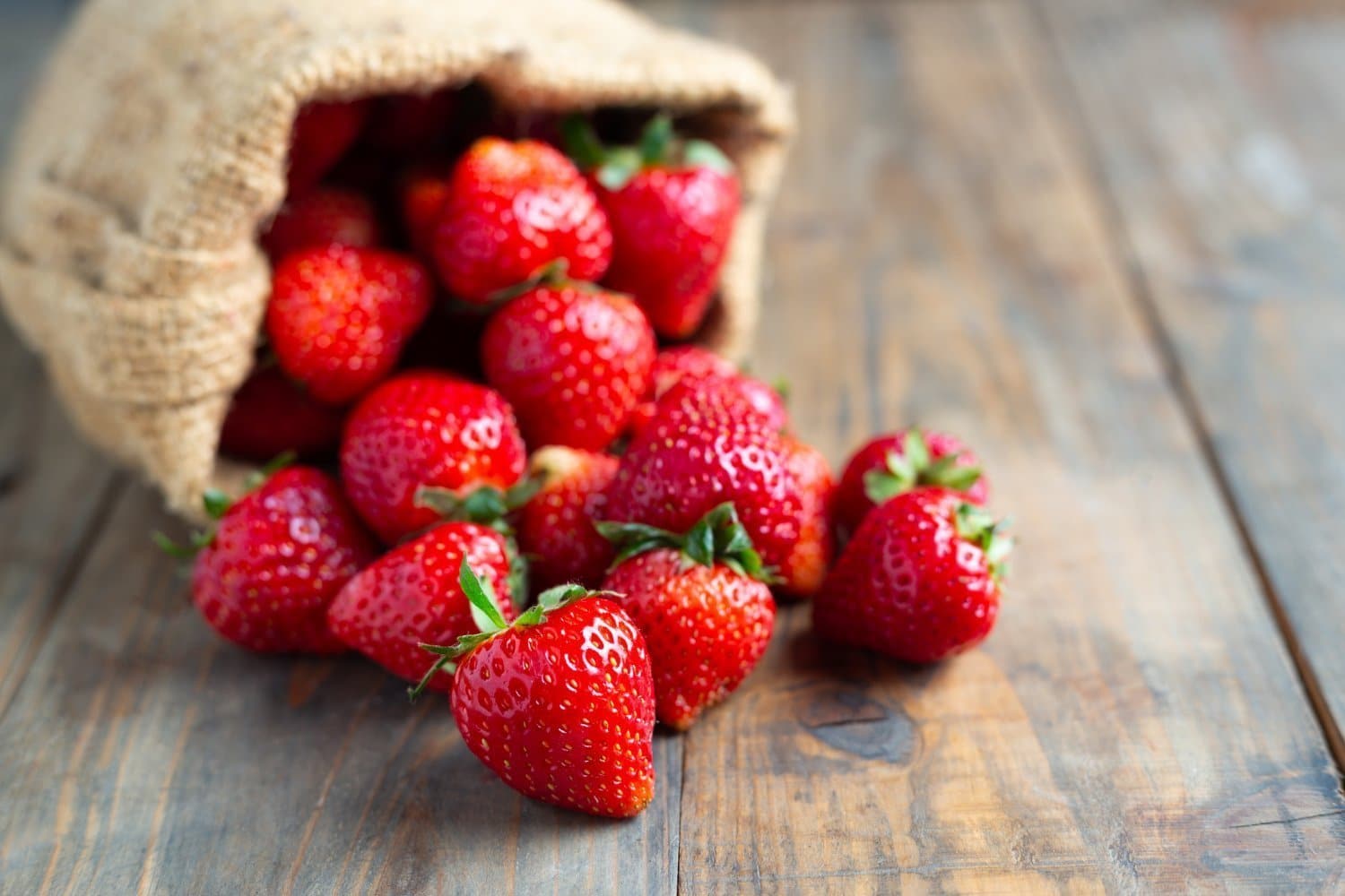 Fraises: Bienfaits pour la santé, valeur nutritionnelle et conservation