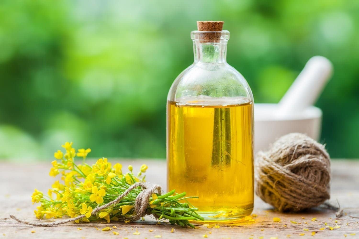 Graisse abdominale: l’huile de colza fait fondre la graisse du ventre