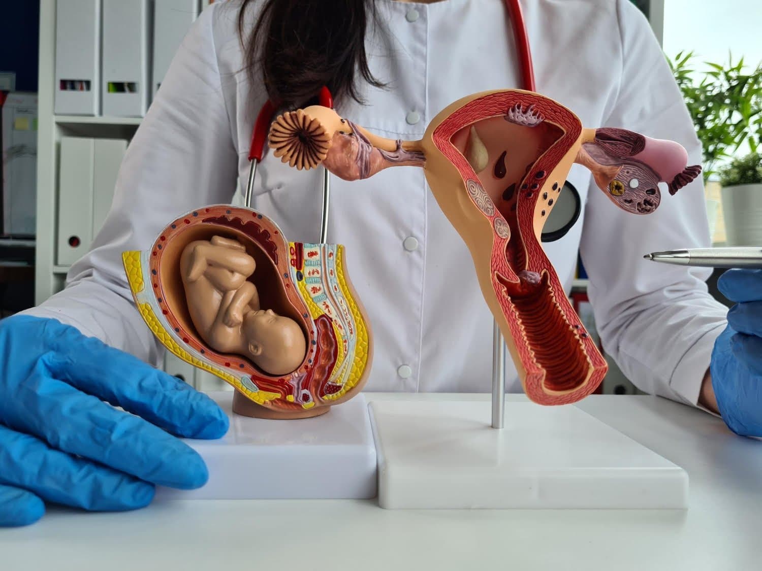 L’ocytocine, « hormone de l’amour »,augmente la satisfaction de vivre, la générosité et l’empathie
