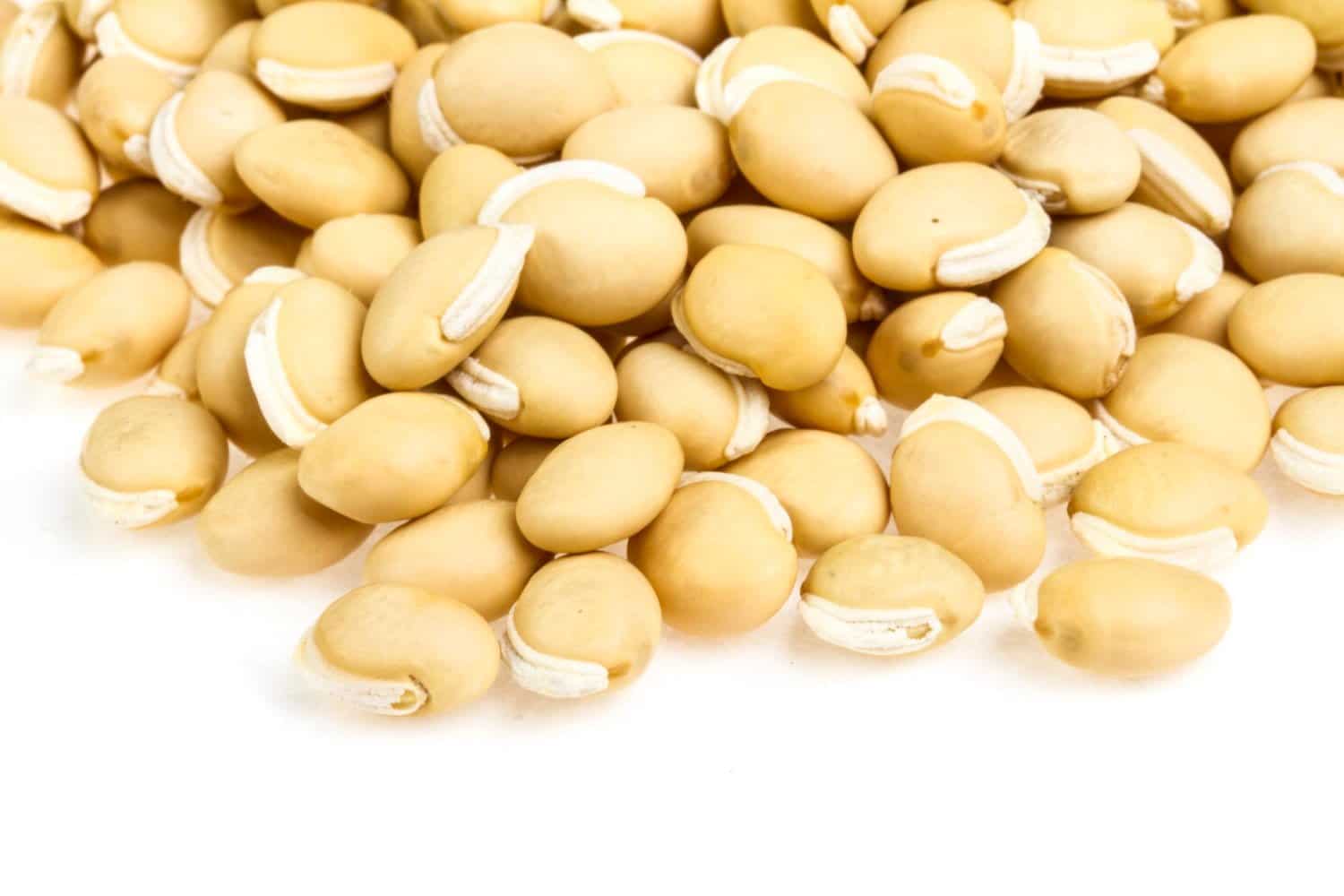 Régime macrobiotique: ses bénéfices, limites et comment ça marche?