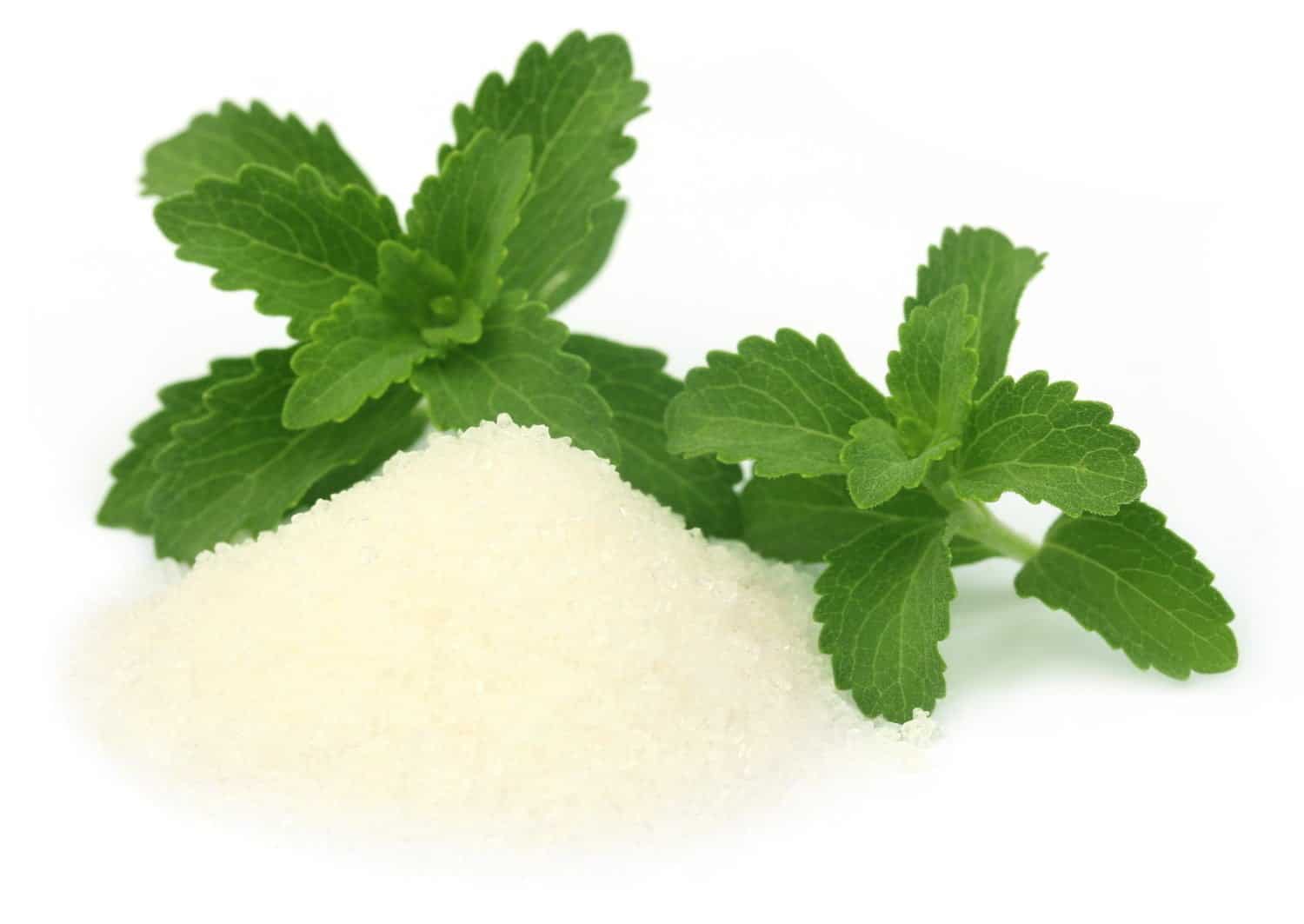 Substitut naturel du sucre: la stévia, un danger pour notre santé ?
