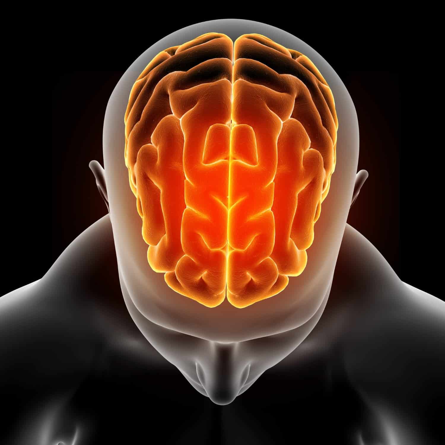 Gardez votre cerveau en bonne santé grâce à ces conseils.