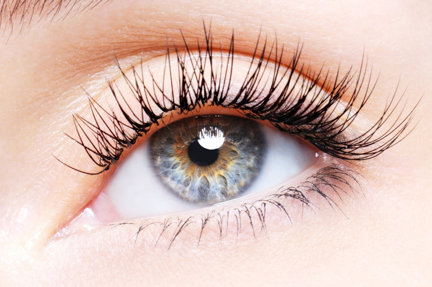 Les cils repoussent-ils ? Comment en prendre soin?