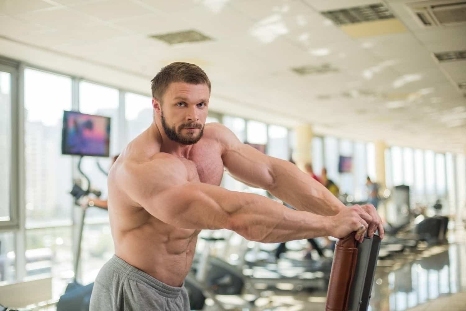 Moins de graisse, plus de muscle : ce que montre un extrait d’olive