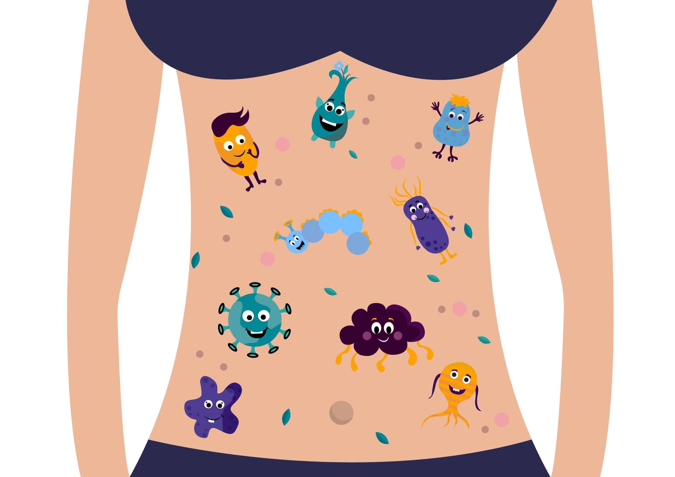 Hyperparathyroïdie primaire: le microbiote influence dans un sens ou l’autre la perte osseuse