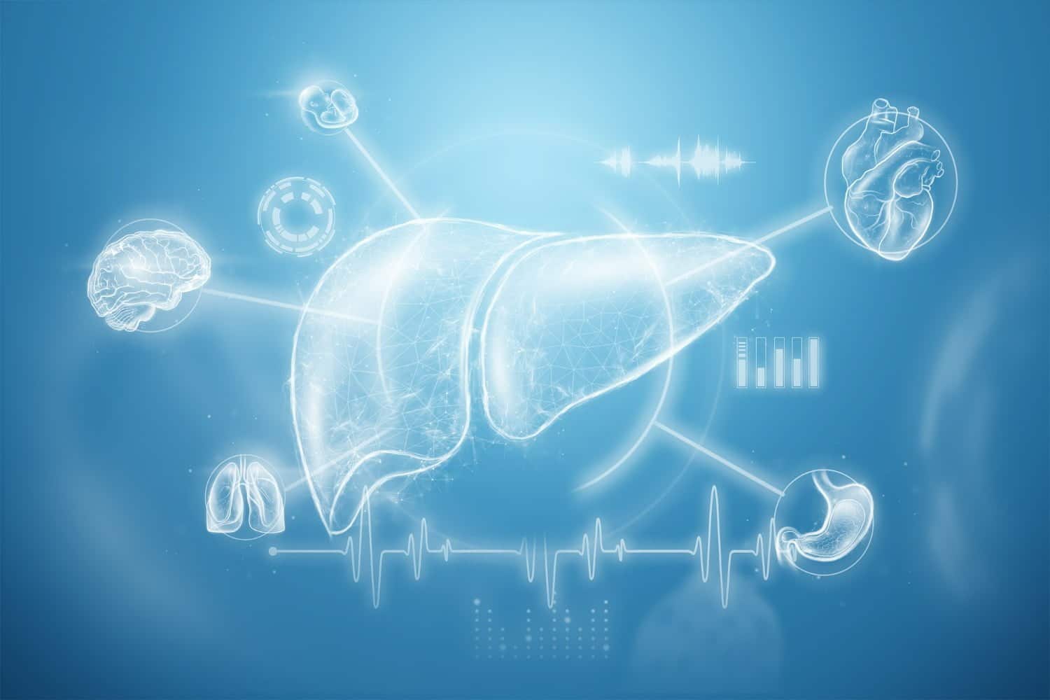 7 façons de prendre soin et d’améliorer la santé de votre foie