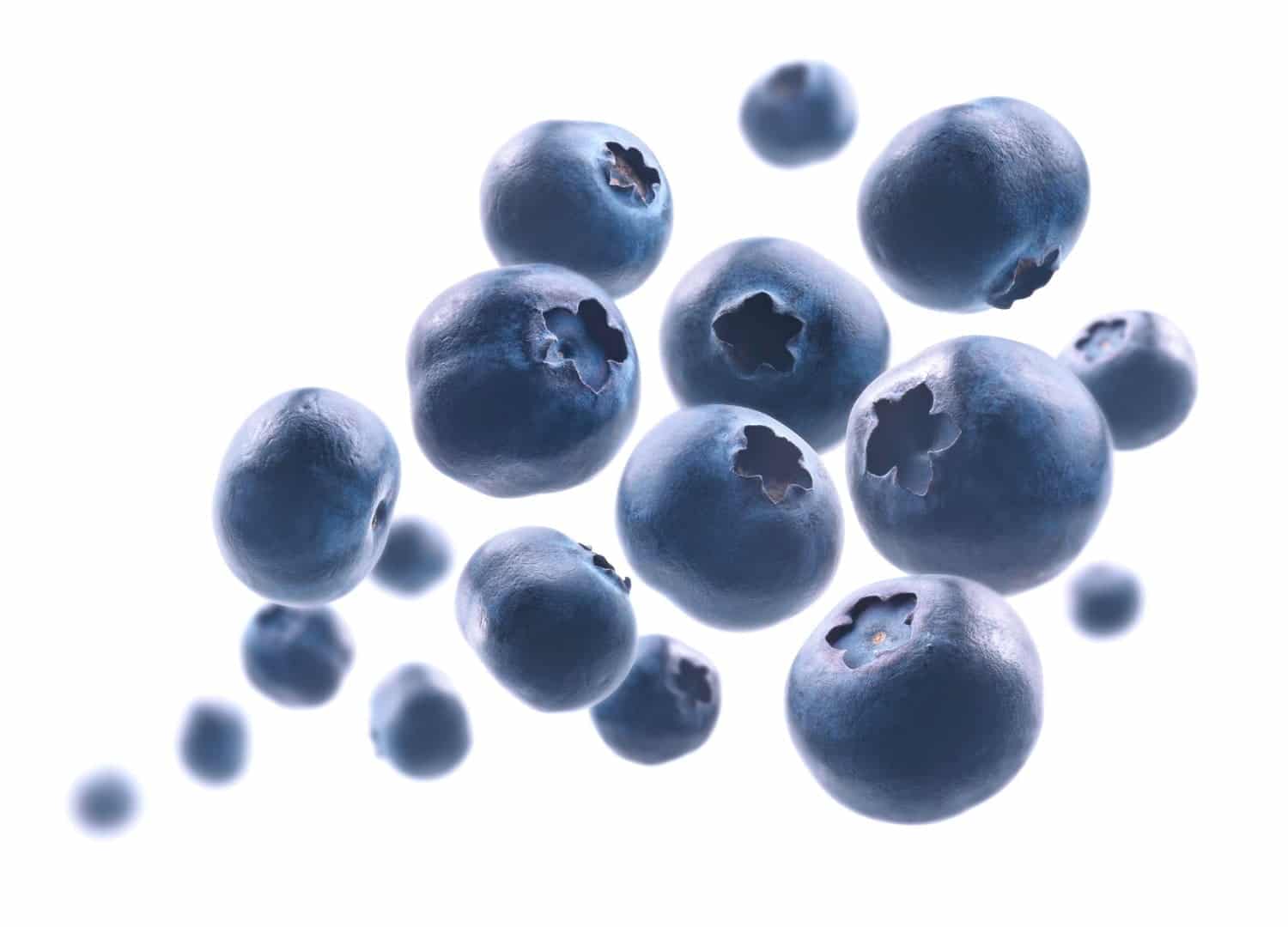Myrtilles: ce délicieux fruit rouge que l’on devrait manger plus souvent