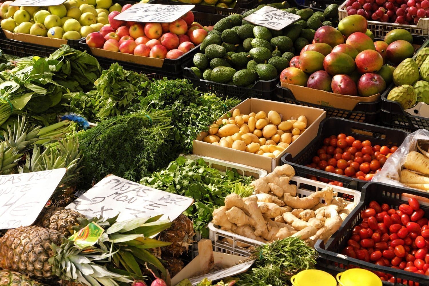 Fruits et légumes d’été : des alliés puissants dans la prévention du cancer
