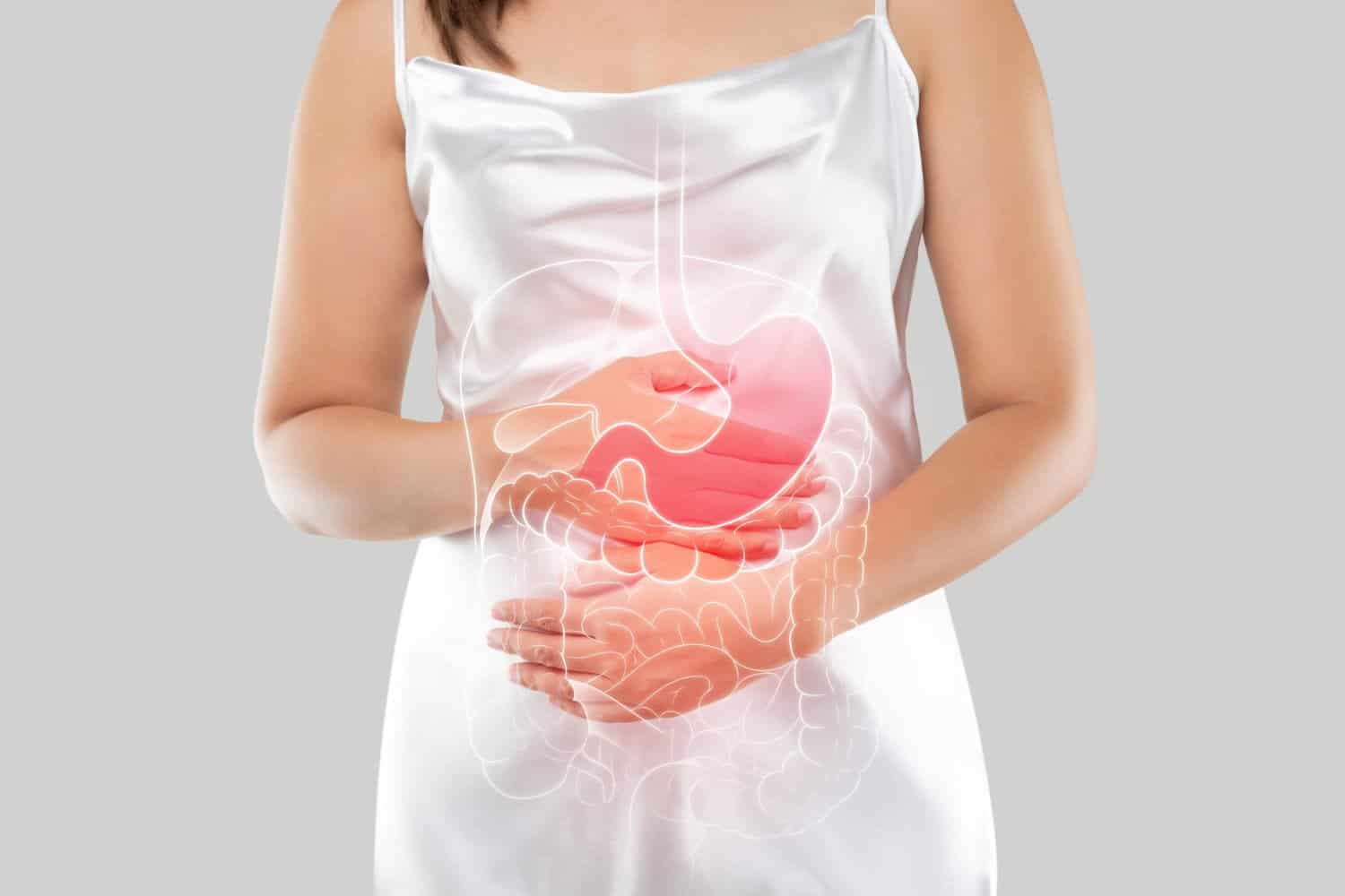Une bactérie intestinale pourtant liée à une bonne santé métabolique finalement liée au risque de diabète