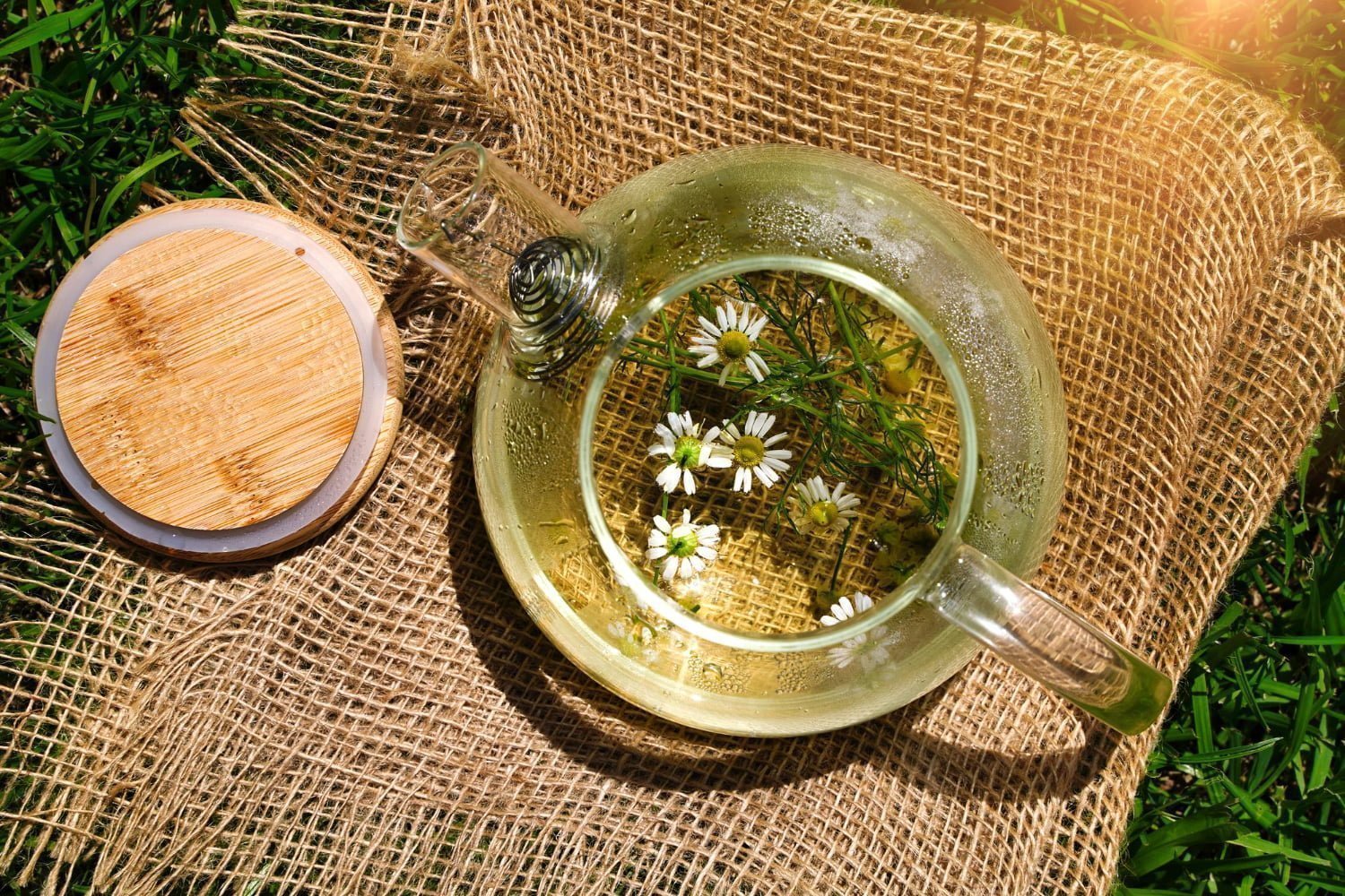 6 thés et tisanes anti-inflammatoires à boire dès aujourd’hui