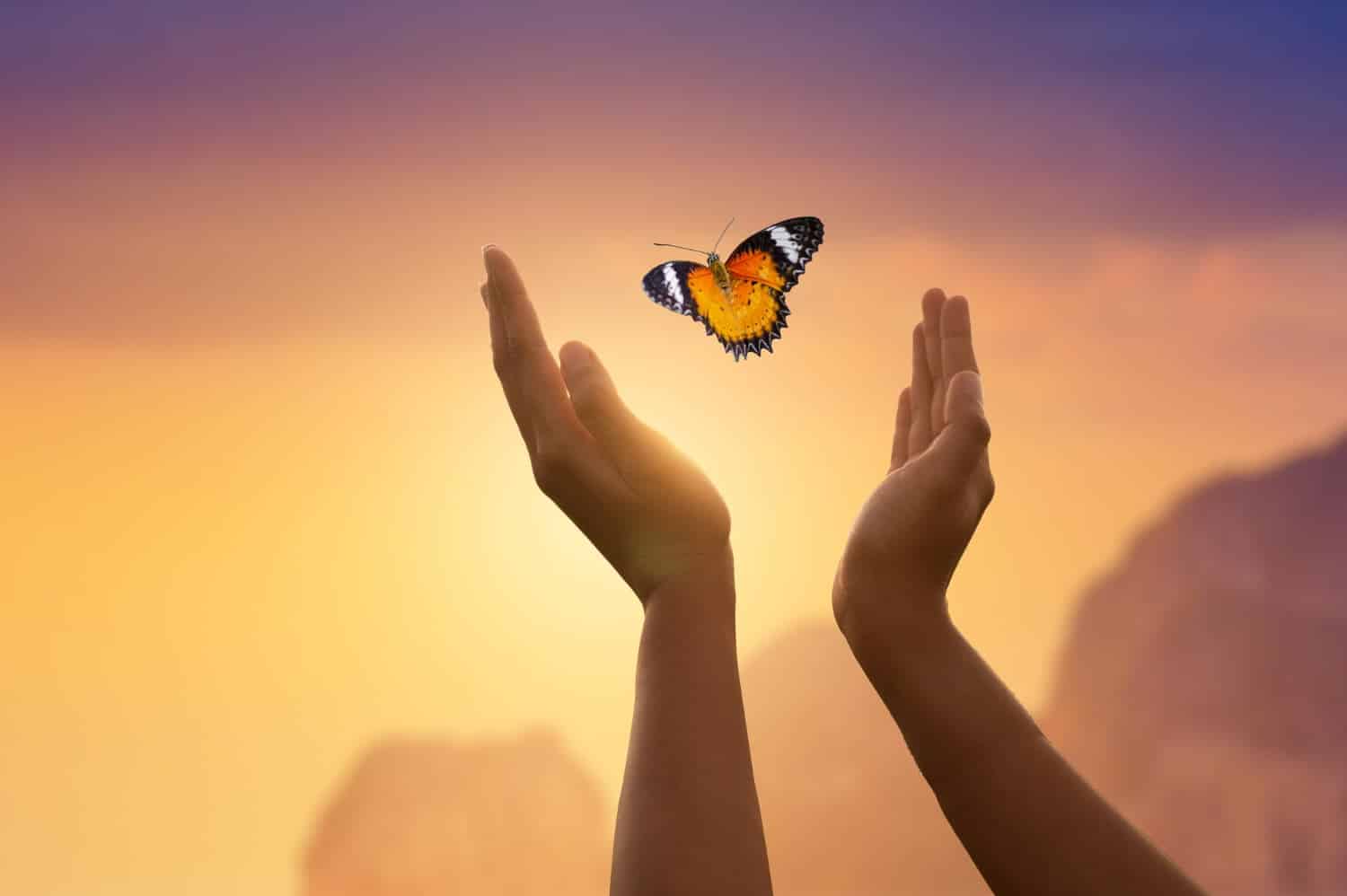 Le Rebirth : définition, technique et bienfaits.