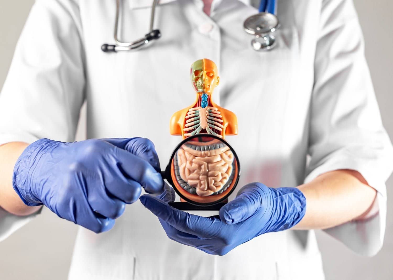 Santé intestinale et alimentation : ce que 3 études récentes révèlent sur votre microbiote