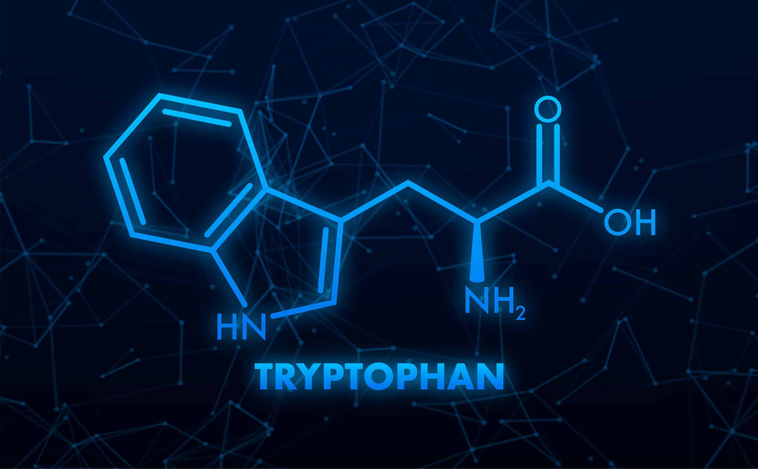 Tryptophane : le secret de votre assiette pour un moral d’acier et des nuits sereines