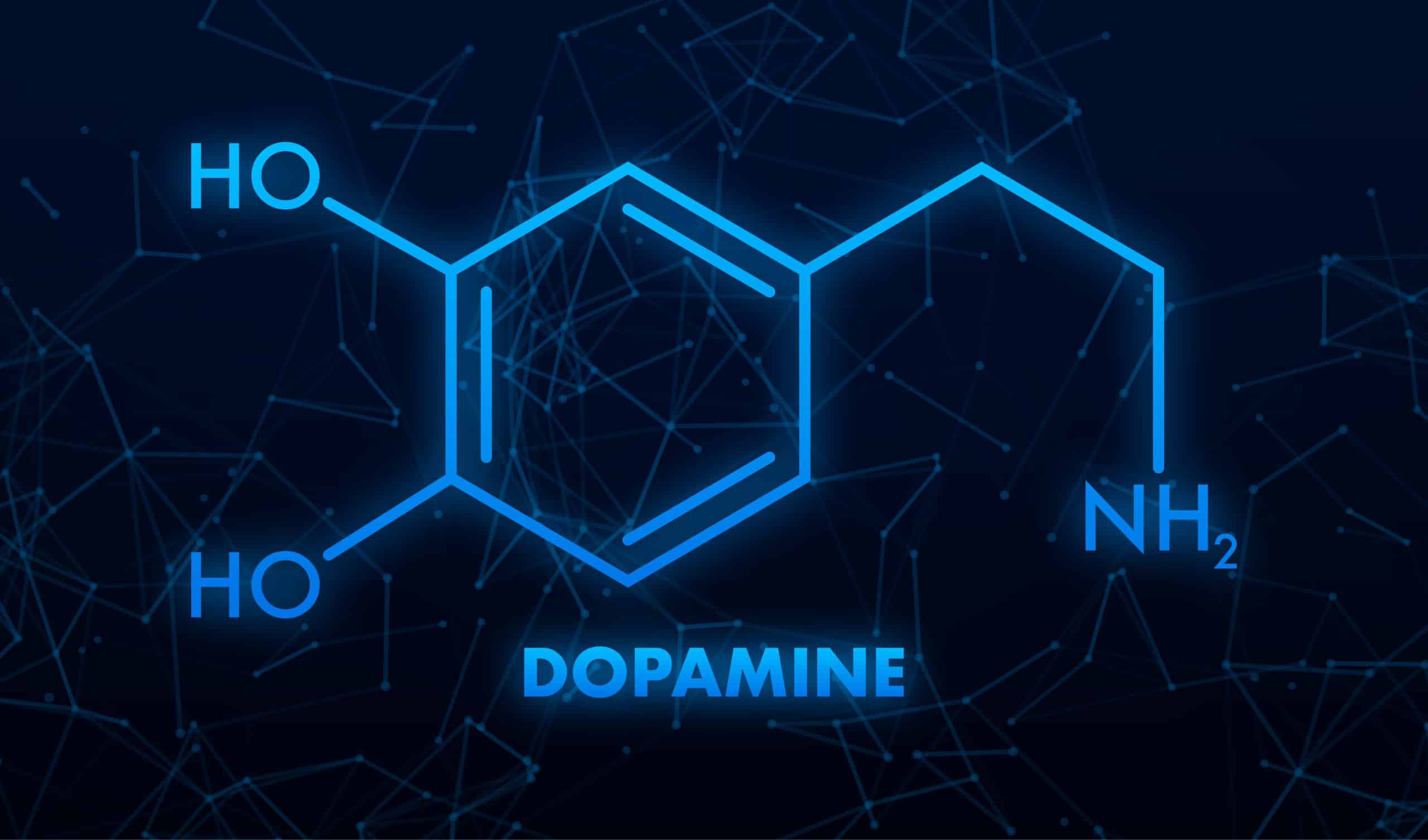Booster l’effet de la dopamine dans le corps : 8 façons naturelles