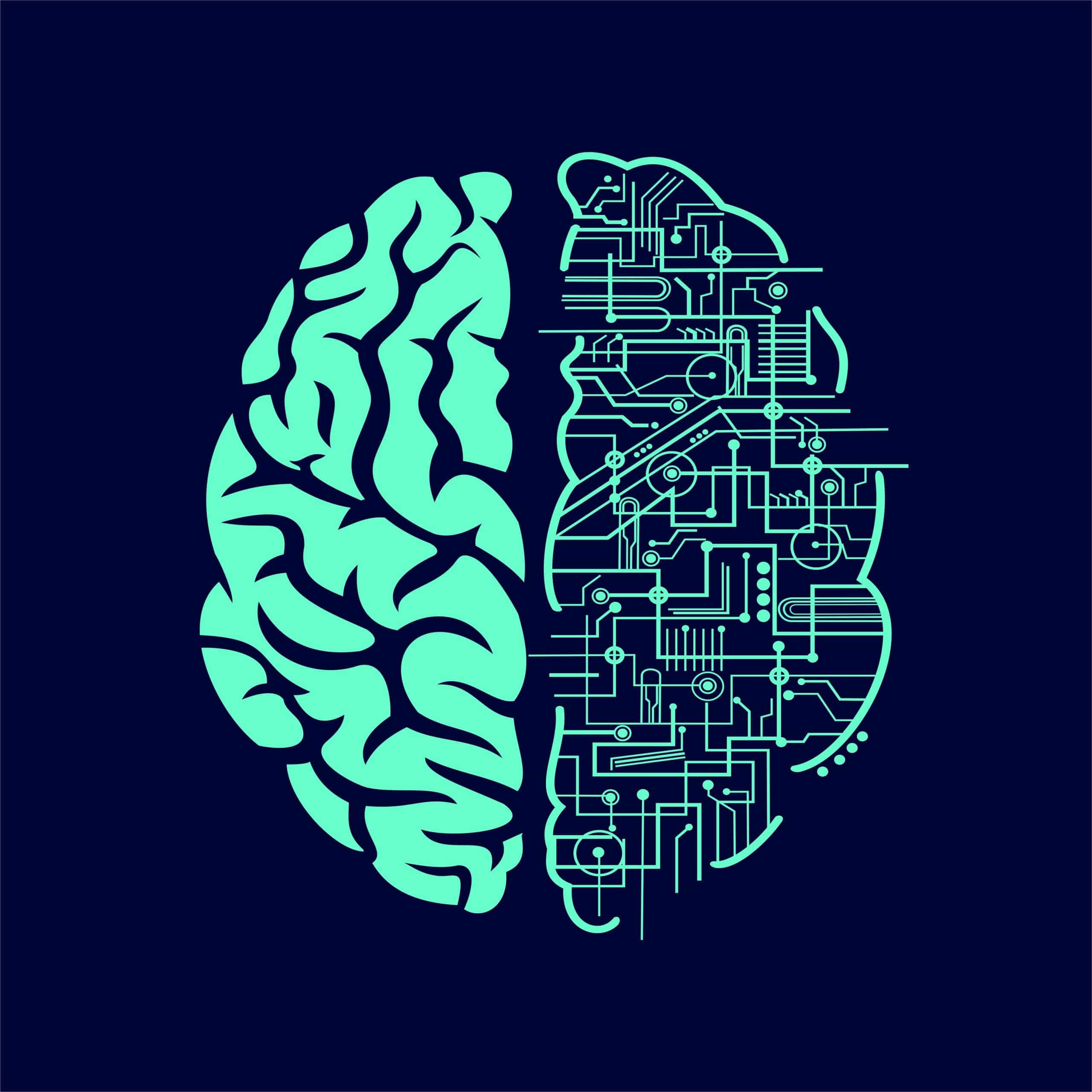 Être cerveau droit ou cerveau gauche : quelle différence pour vous ?