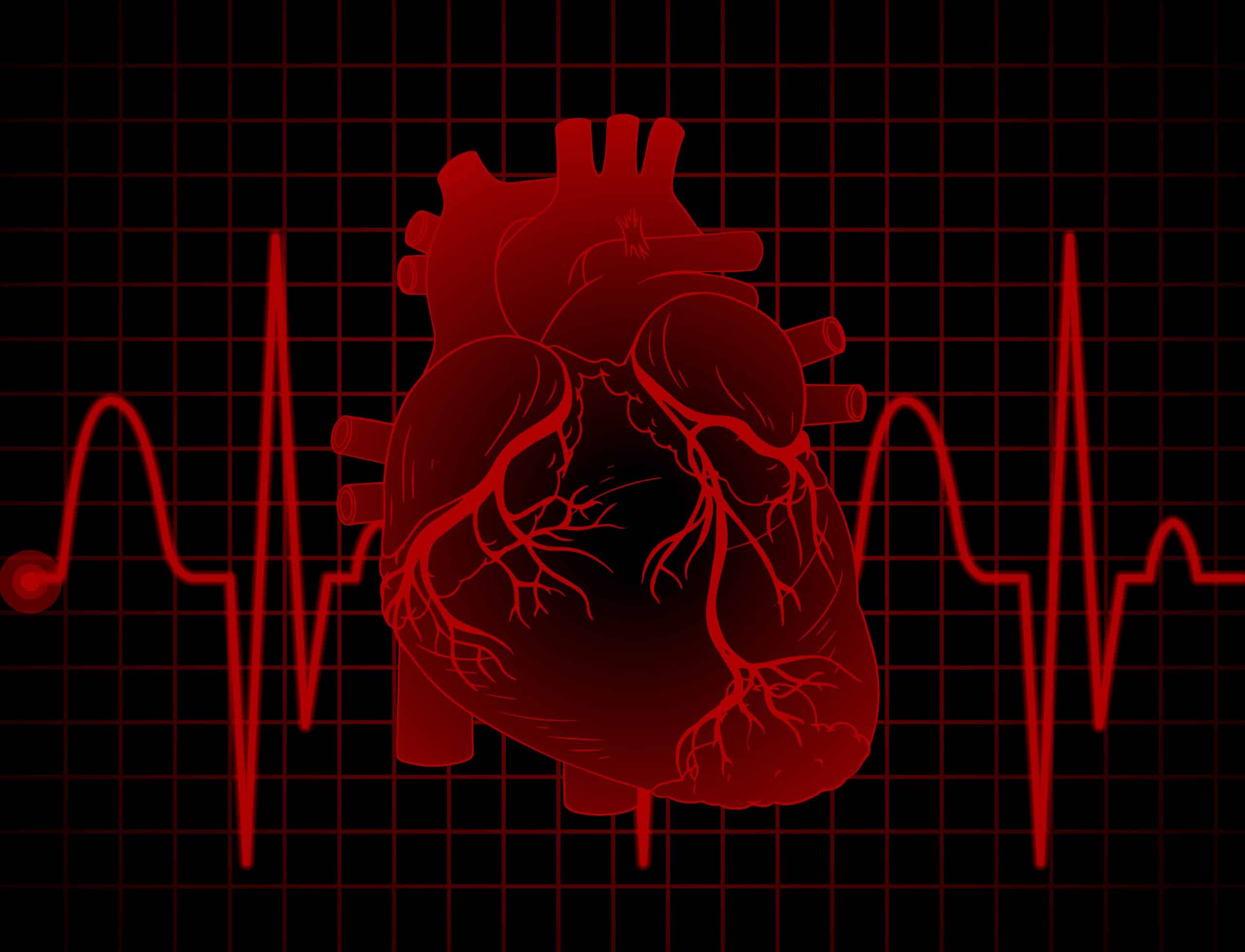 Fréquence cardiaque du sportif, qu’est ce qu’il faut en noter ?