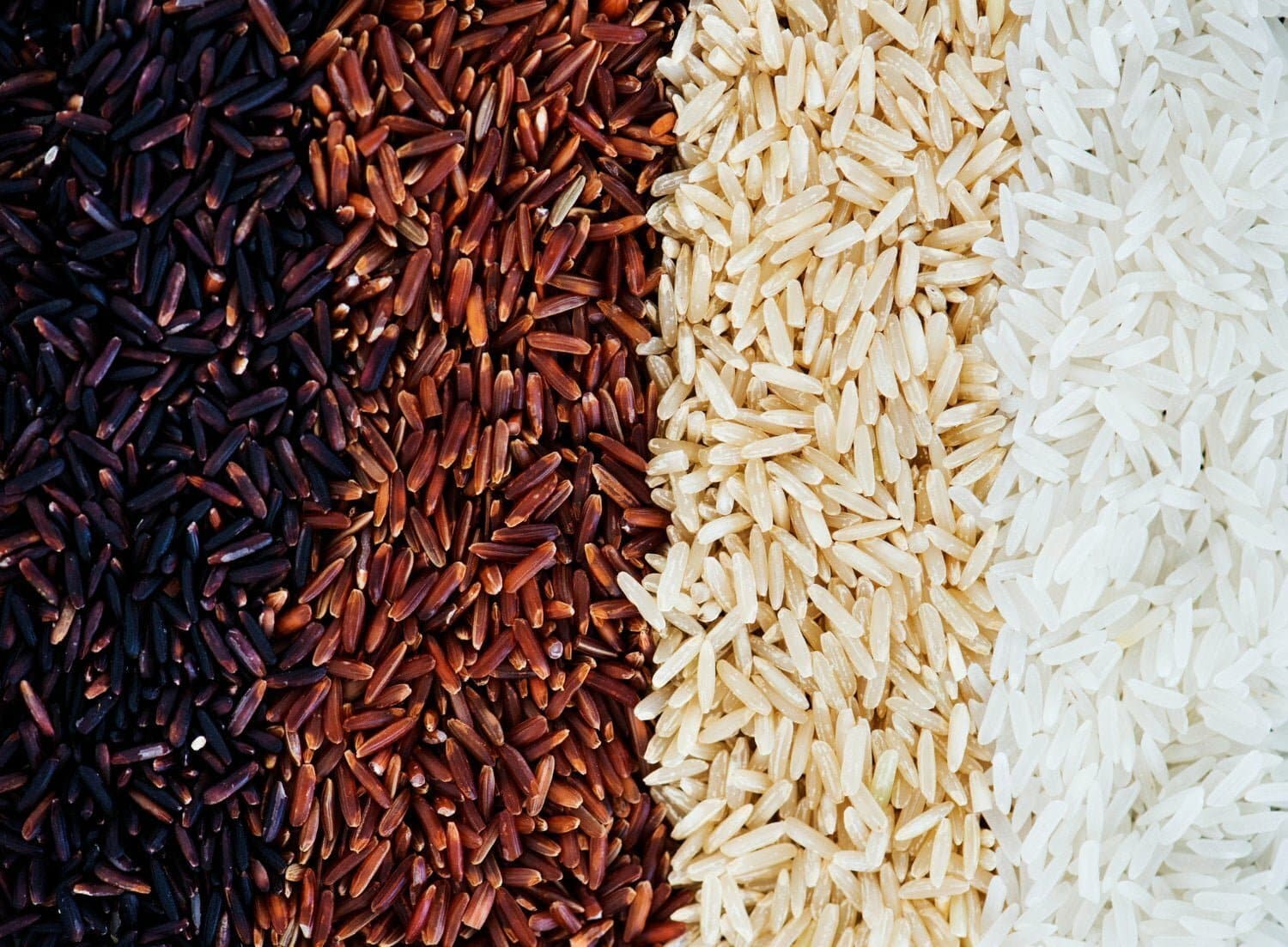 Le riz brun : une céréale polyvalente aux nombreux bienfaits pour la santé