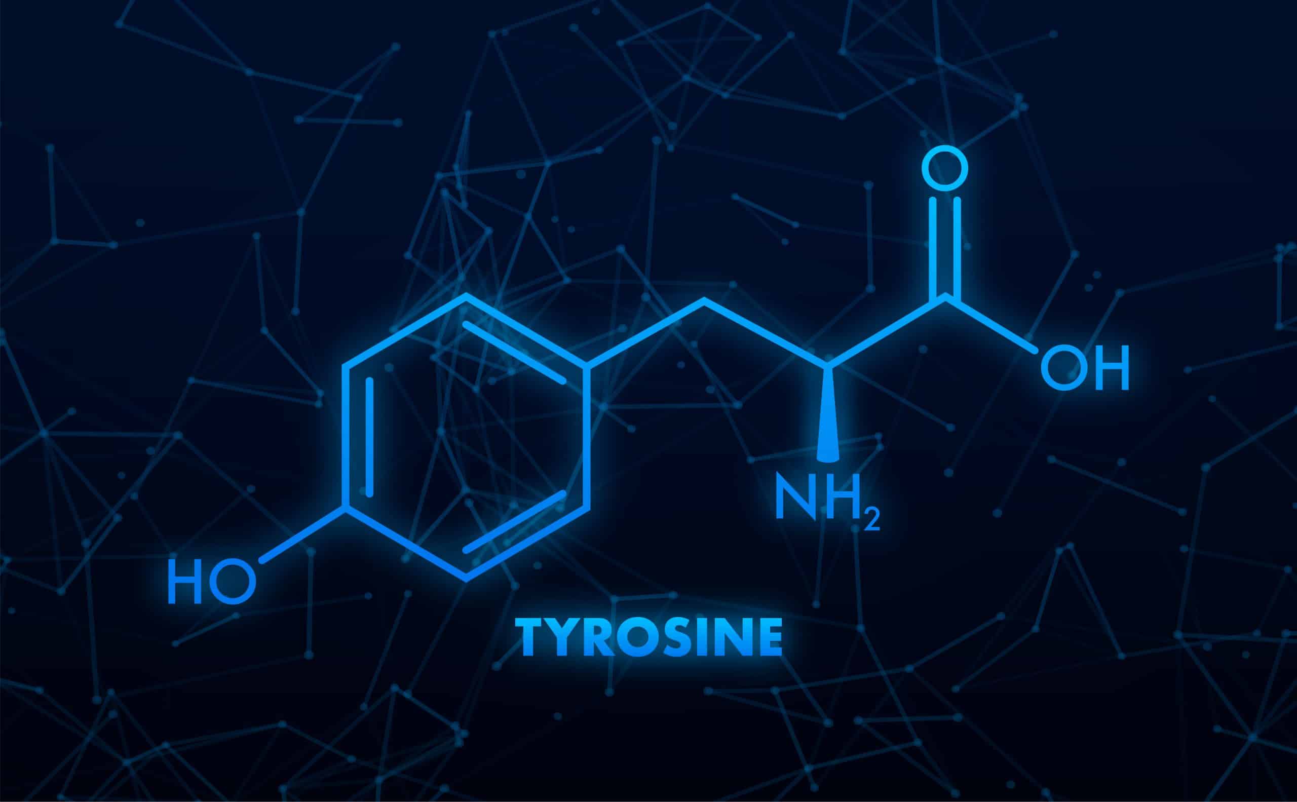 Tyrosine : cette substance souvent négligée au pouvoir surprenant.