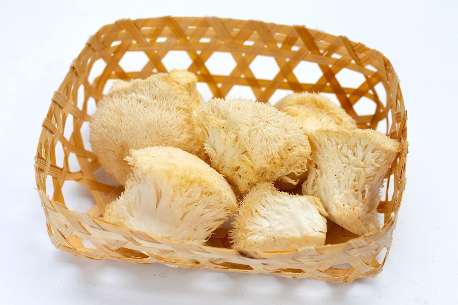 7 avantages surprenants du champignon crinière de lion pour la santé