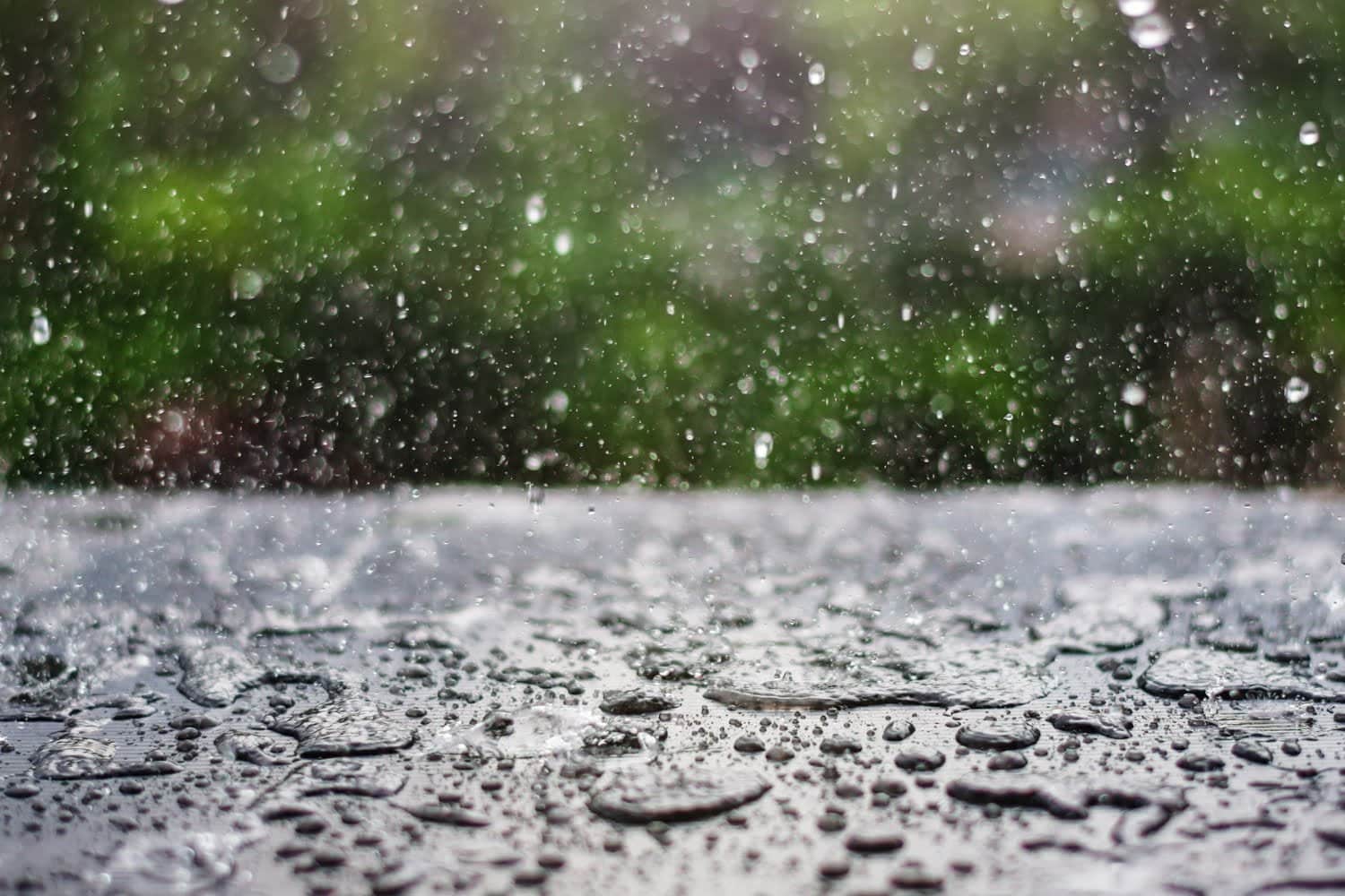 Gérer le désespoir climatique : 7 conseils pour agir