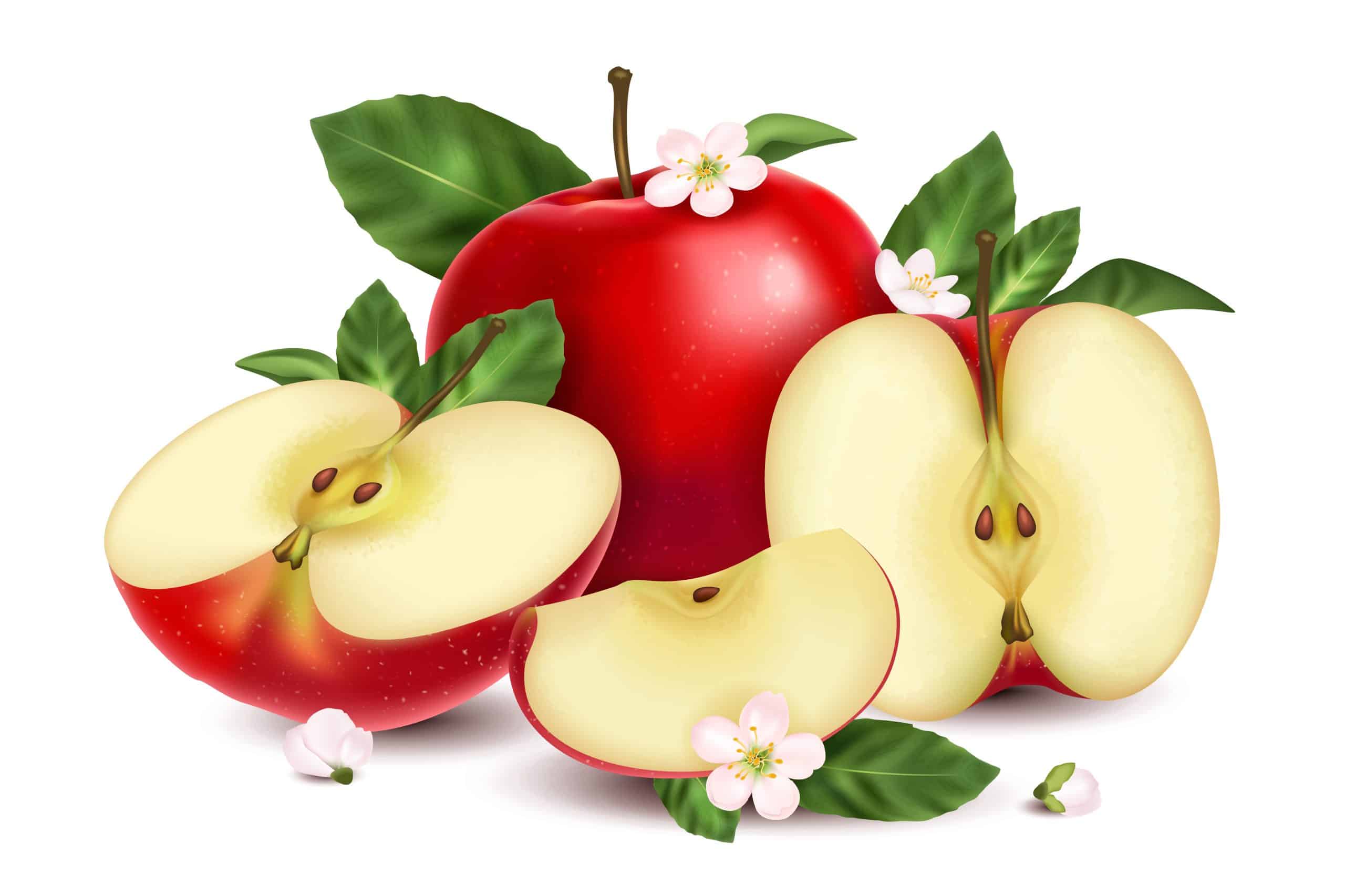 Les pommes : 11 raisons d’en manger plus cet automne