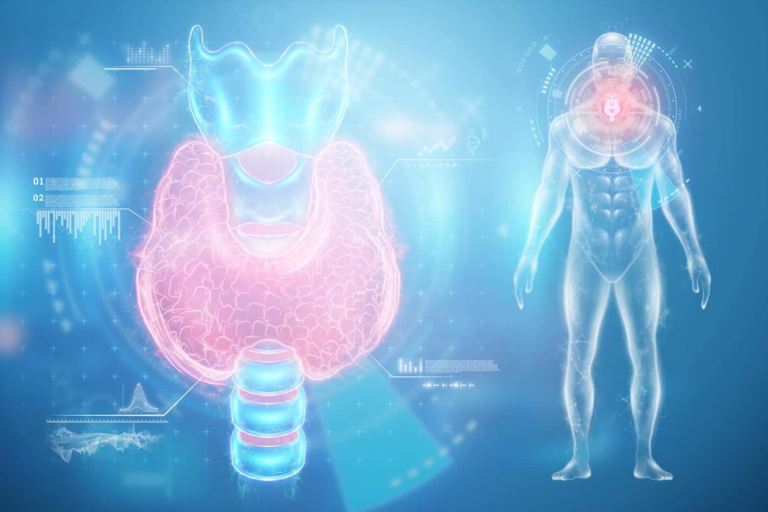 10 conseils précieux provenant d’une naturopathe pour le bien de vos thyroïdes