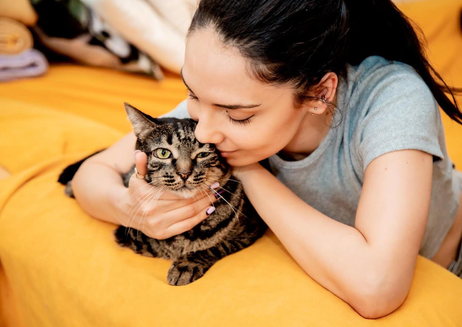 Fièvre des griffes de chat : Ce que vous devez savoir pour protéger votre santé