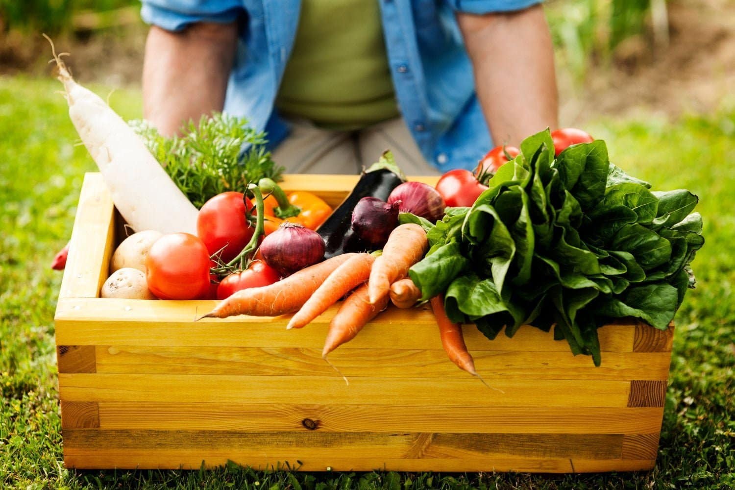 Plus de plantes, moins de viande, un risque plus bas de maladie rénale selon une grande étude