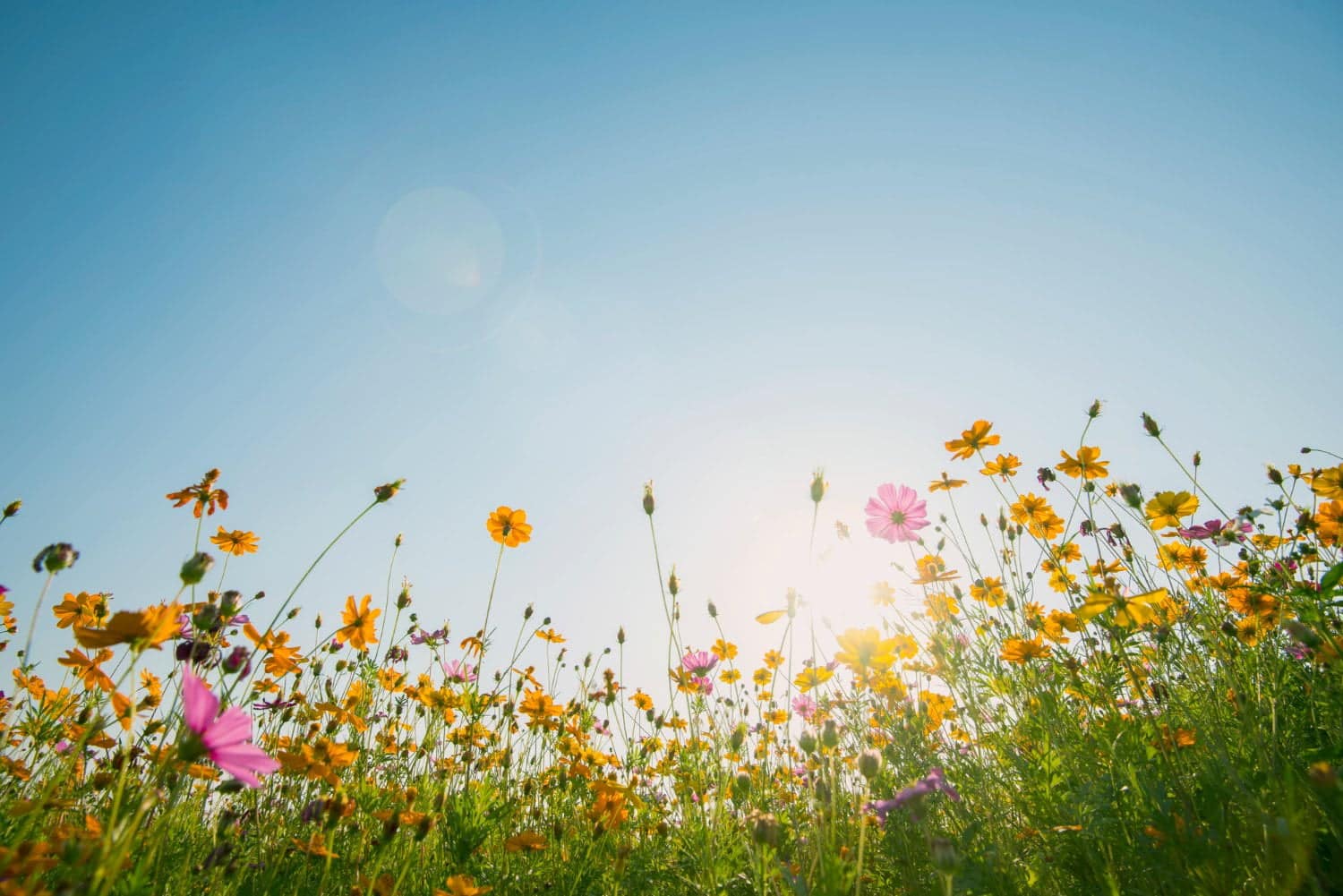 9 conseils pour faire le ménage de printemps de votre santé