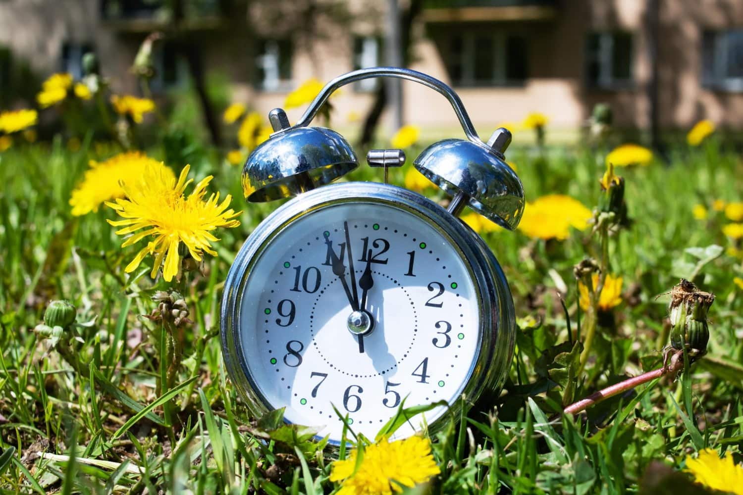 Stréssé? Arrêtez-vous et sentez une fleur pendant 30 secondes aidera votre esprit