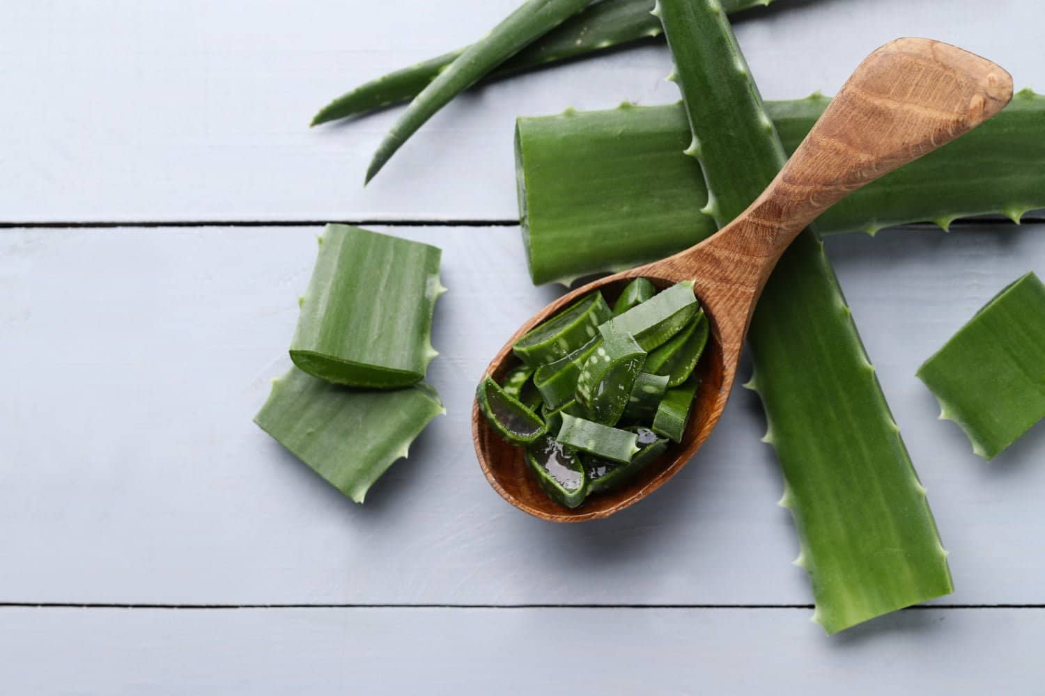 Les avantages de l’aloe vera dans les produits de beauté