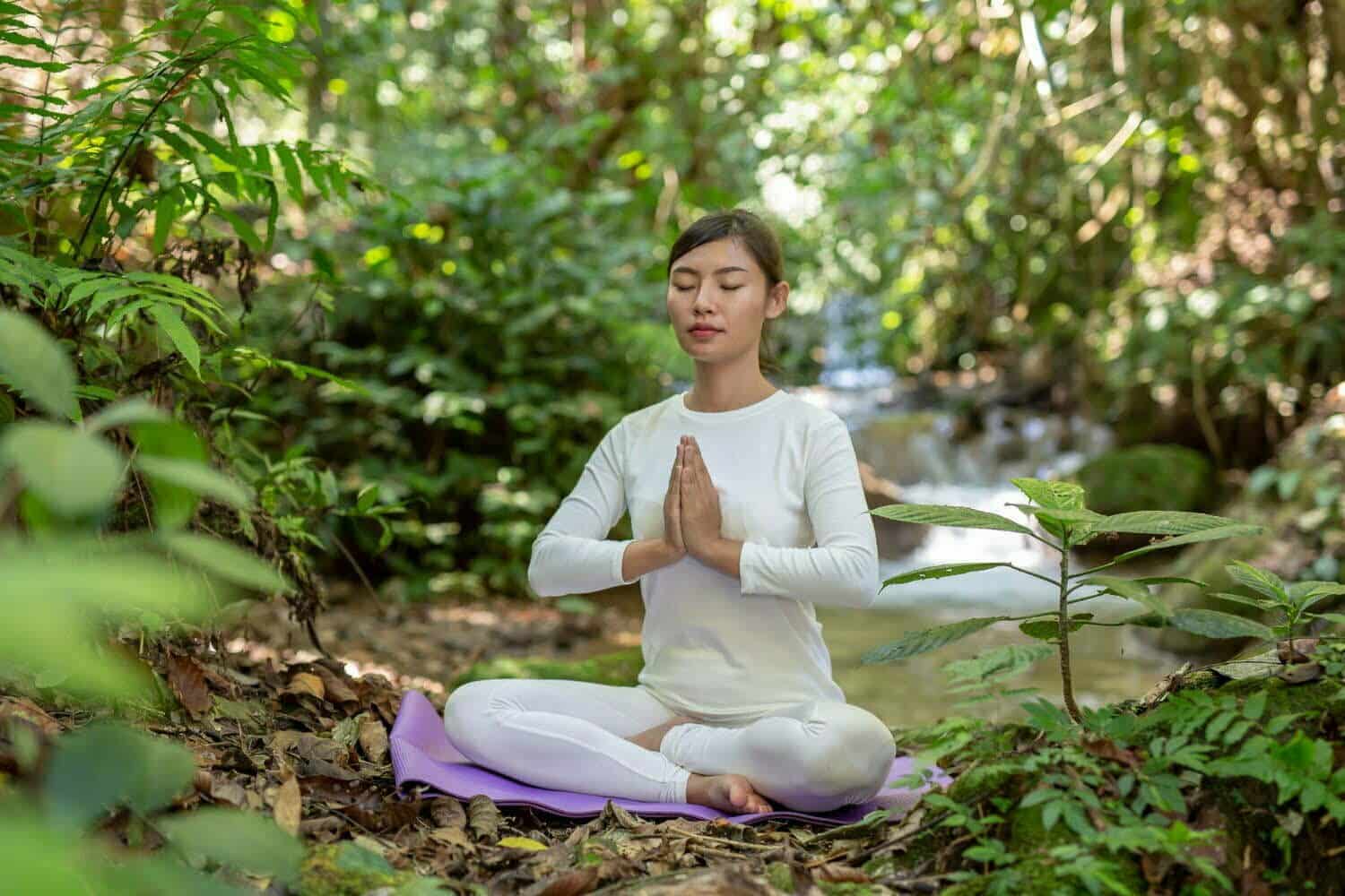 Découvrez le zazen, la méditation assise du bouddhisme zen !