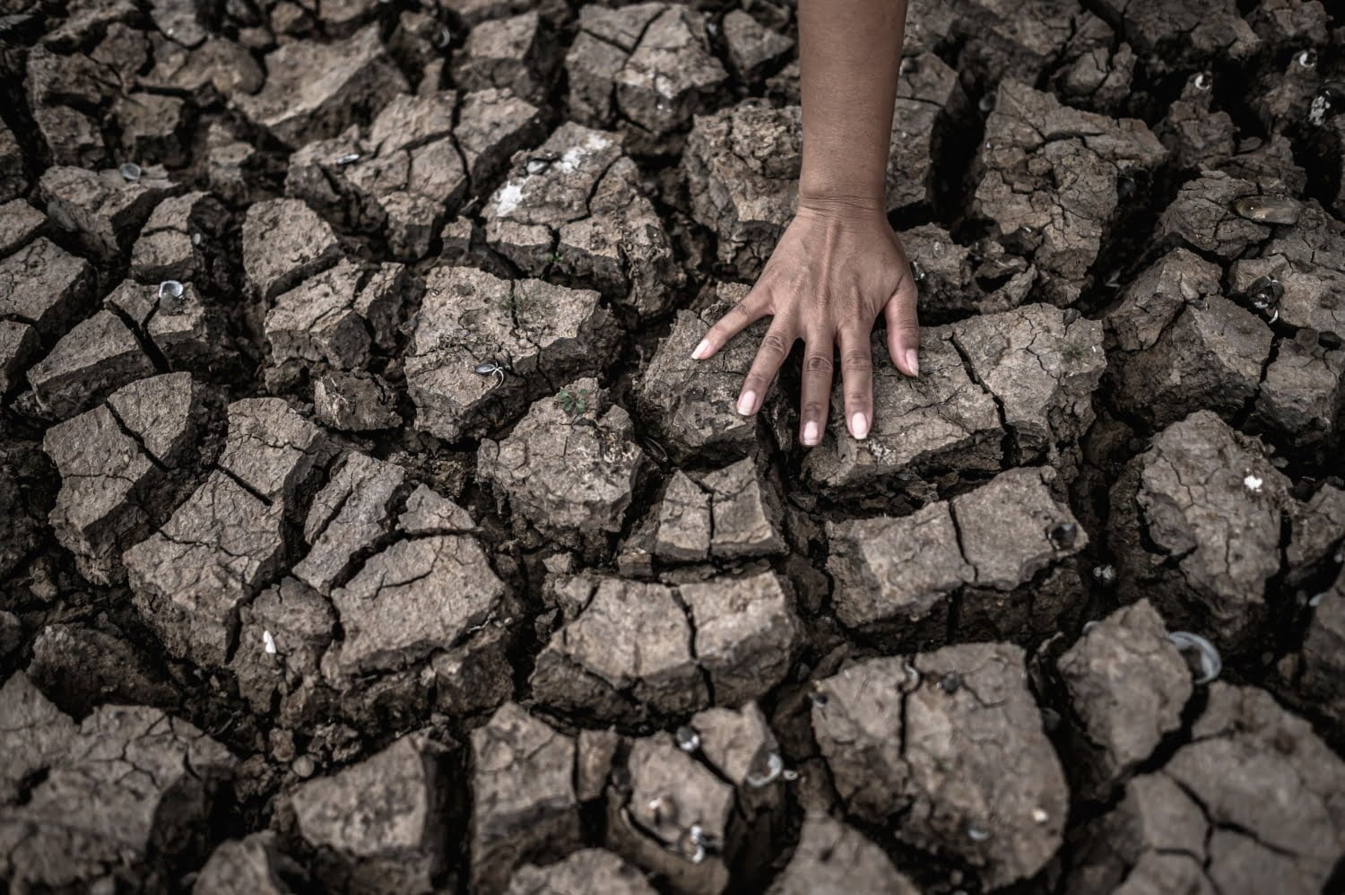 Cangement climatique: la chaleur n’est pas le seul problème, la hausse de l’humidité de l’air l’est tout autant