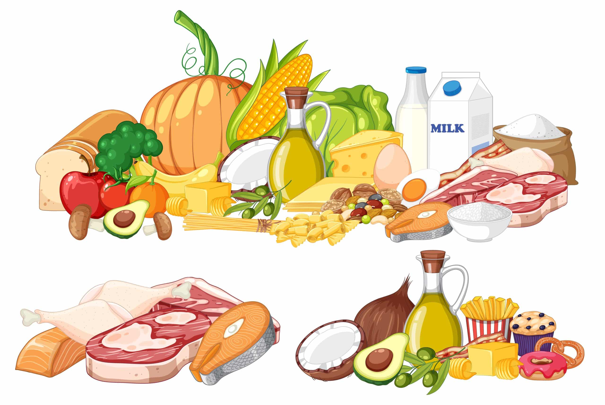 Comprendre les macronutriments : protéines, glucides et lipides