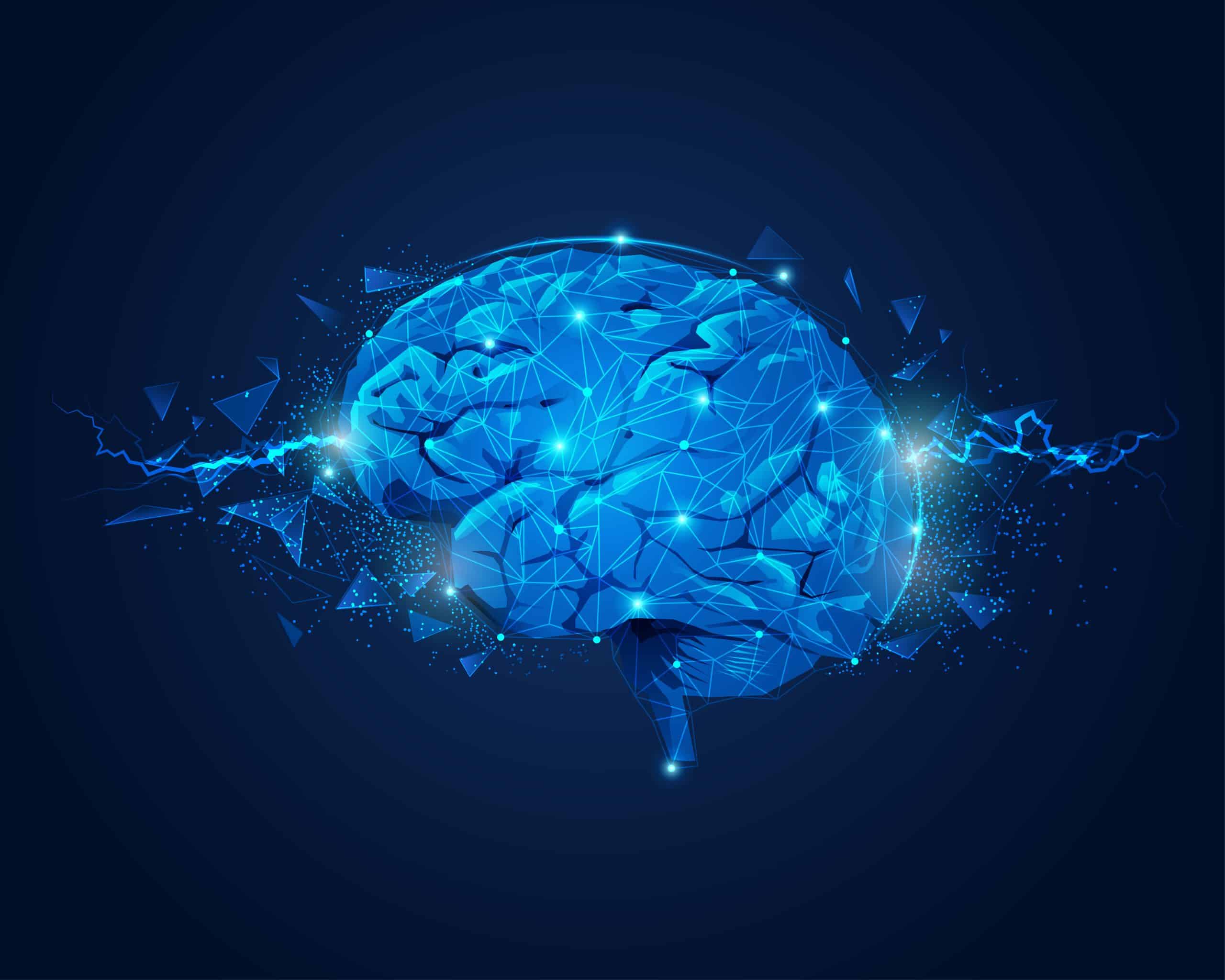 Les 8 meilleurs aliments pour un cerveau en bonne santé