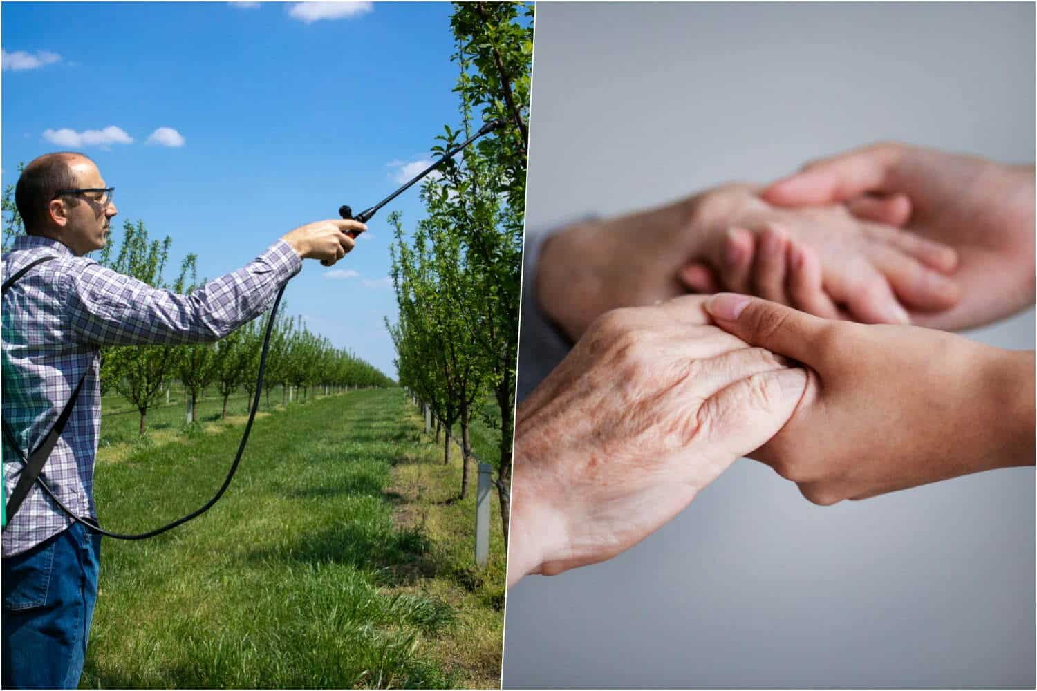 Etude: un lien direct entre 10 pesticides courent et la maladie de Parkinson