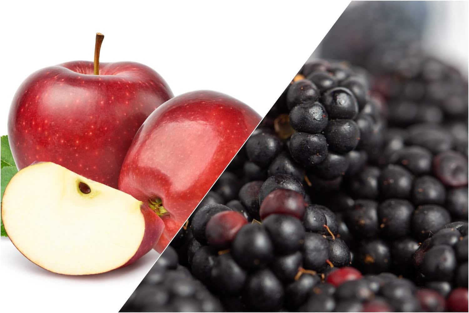 Manger des pommes et des mûres contribue à maintenir votre vitalité en vieillissant
