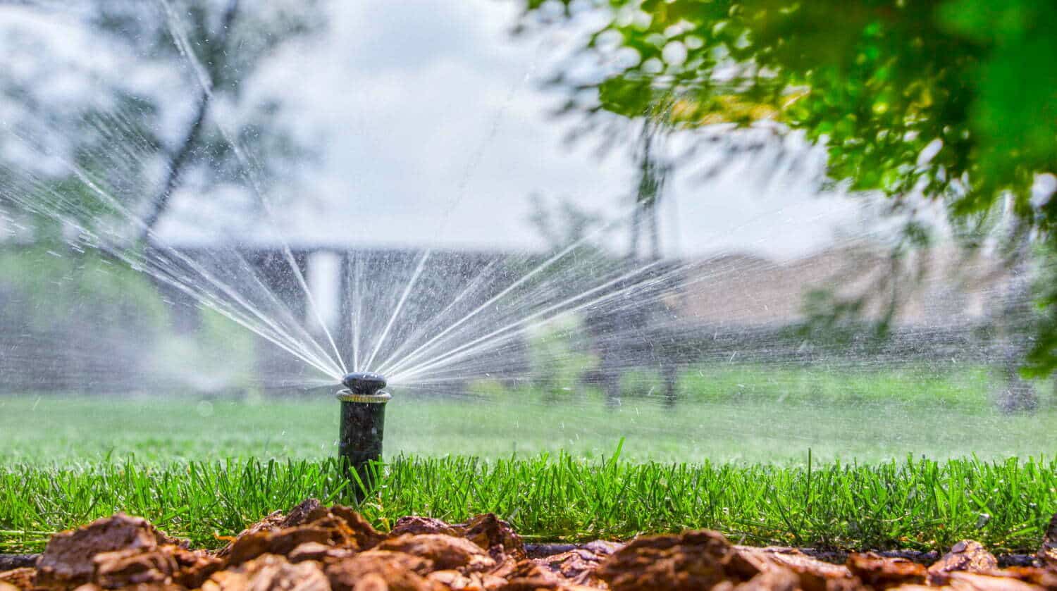 Arrosage intelligent : astuces pour économiser l’eau