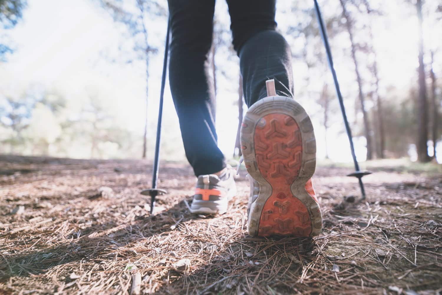 Marcher 30 minutes par jour : transformez votre santé physique et mentale