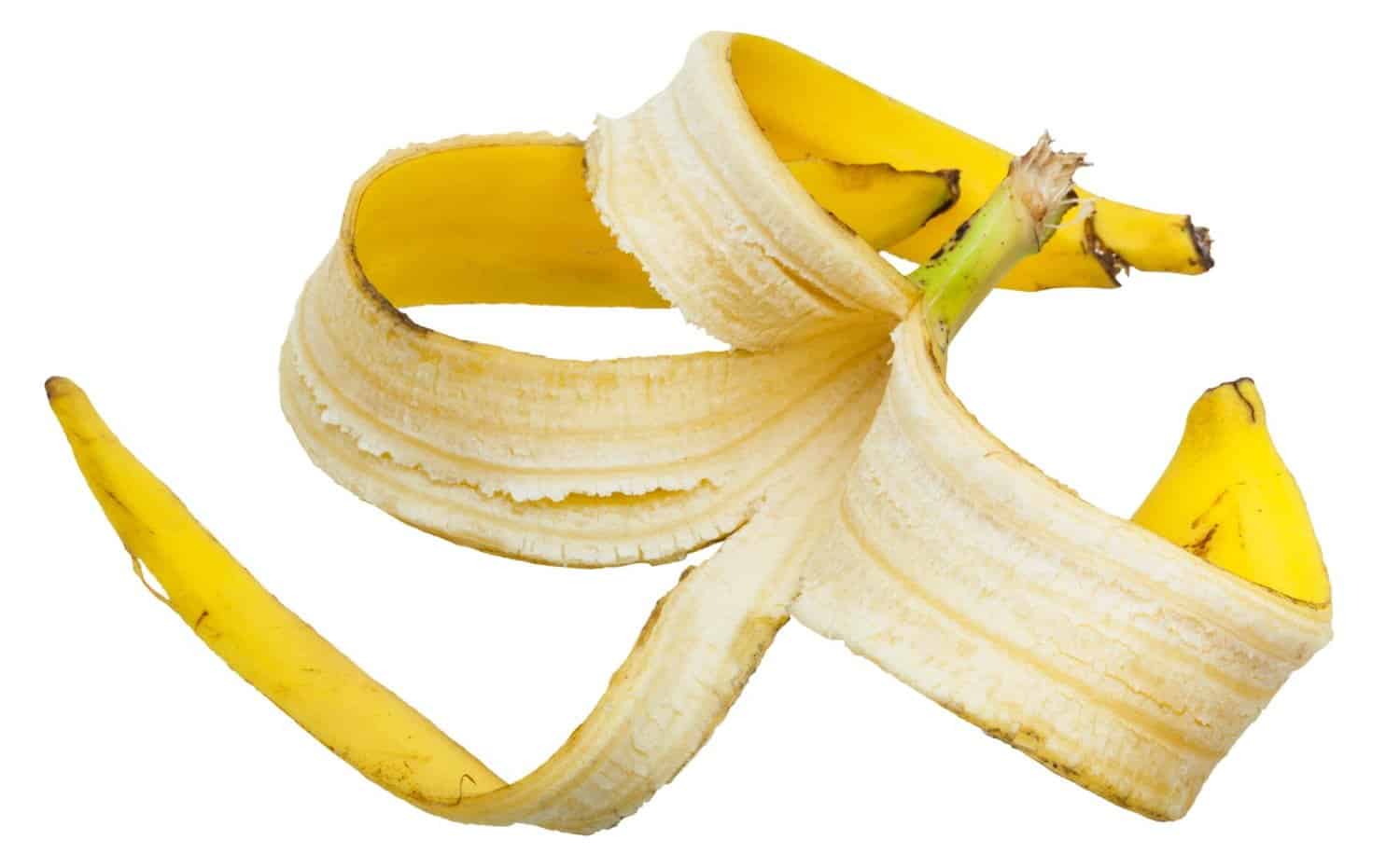Manger les pelures de bananes : des nutriments inattendus